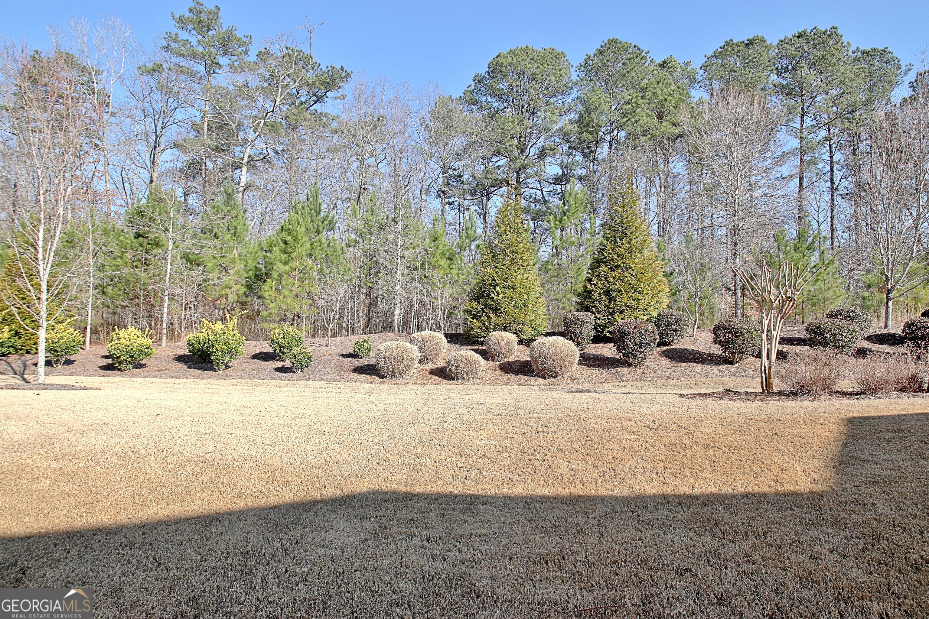 340 Honey Locust Court Peachtree City GA 30269