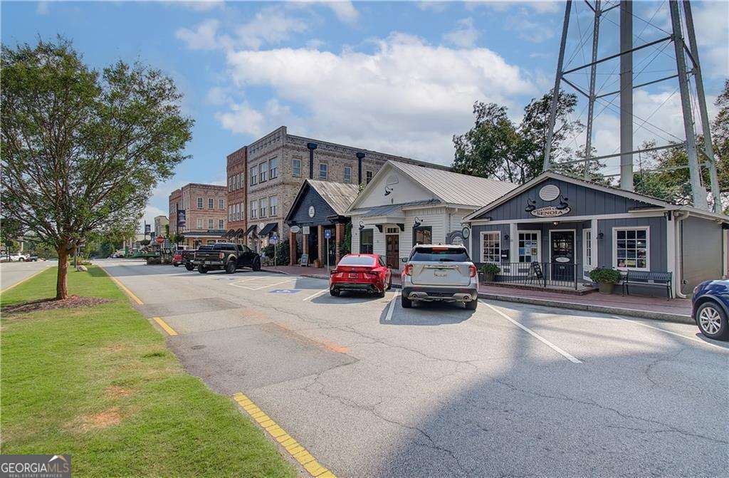 117 Homesite Saddle Drive Senoia GA 30276