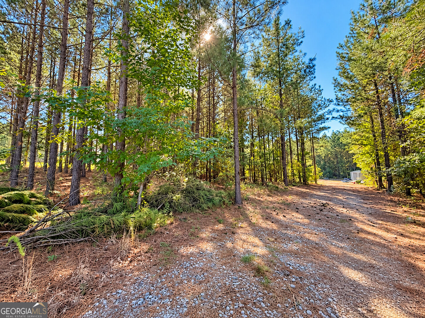 93 Mulberry Crossing Drive Cataula GA 31804