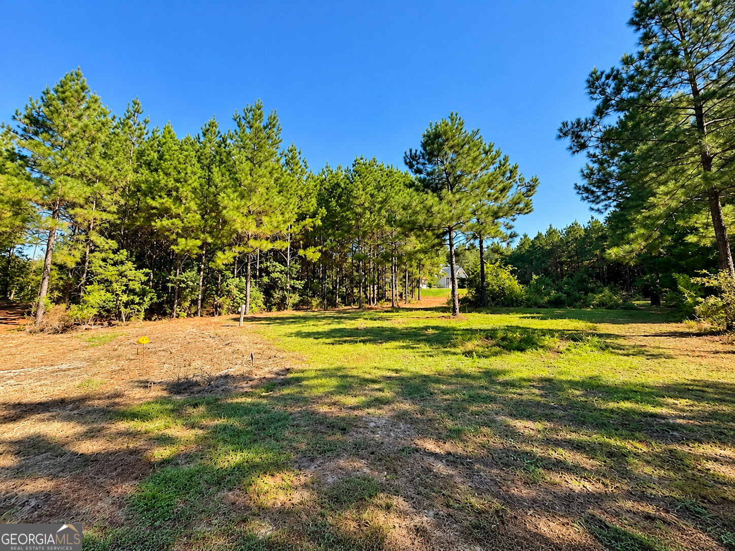 93 Mulberry Crossing Drive Cataula GA 31804