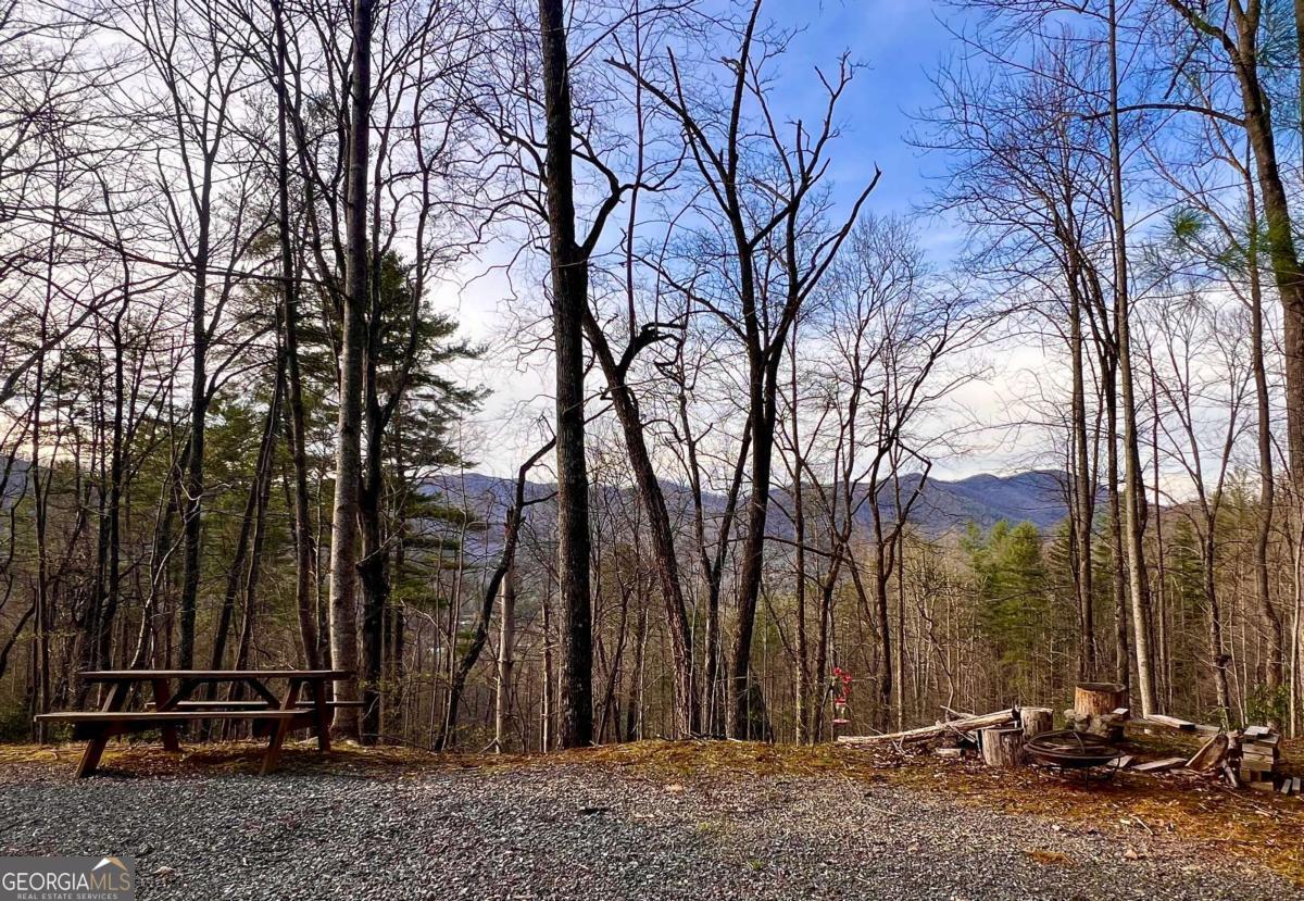 403 Barefoot Rise Hiawassee GA 30546