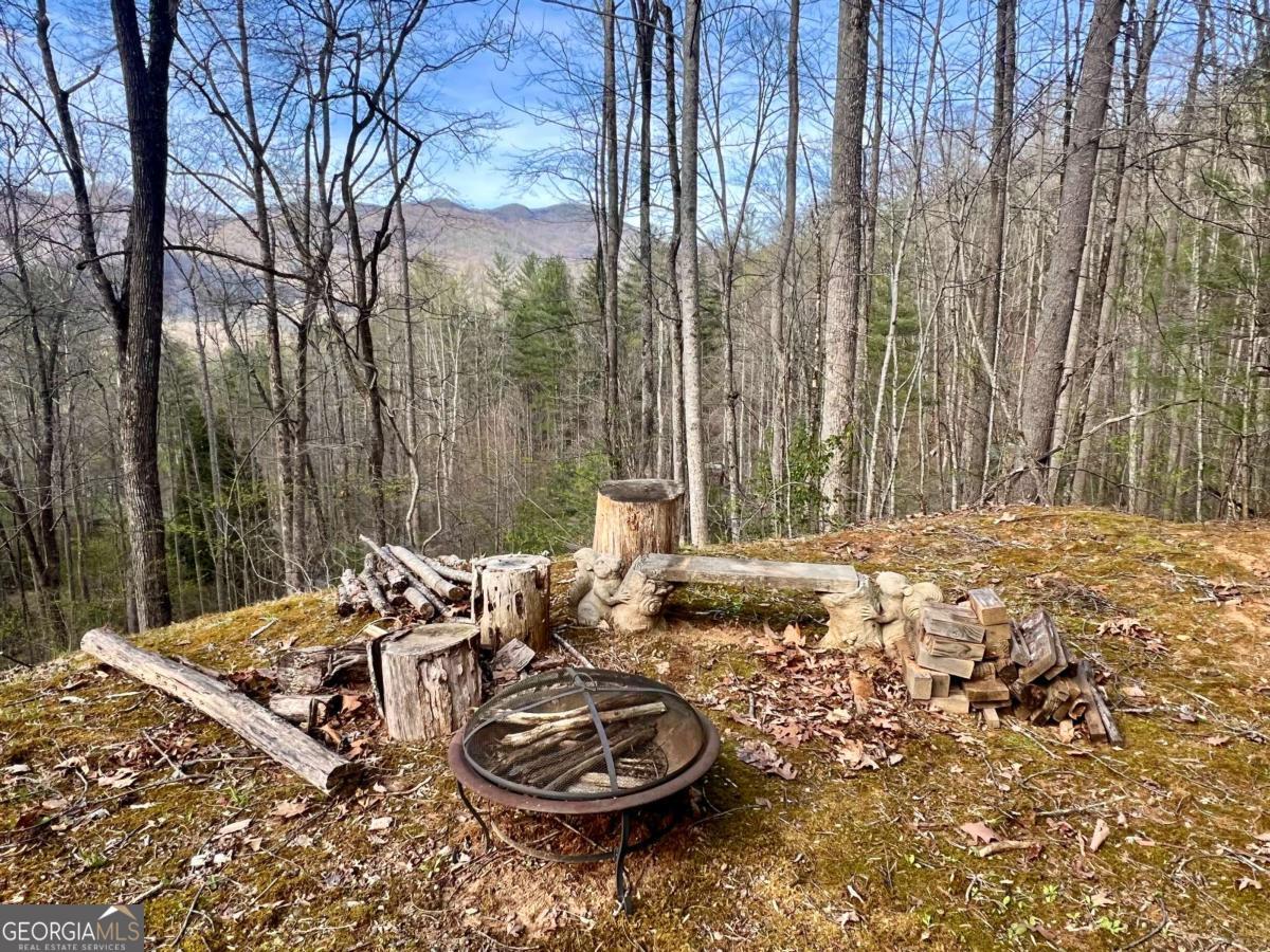403 Barefoot Rise Hiawassee GA 30546
