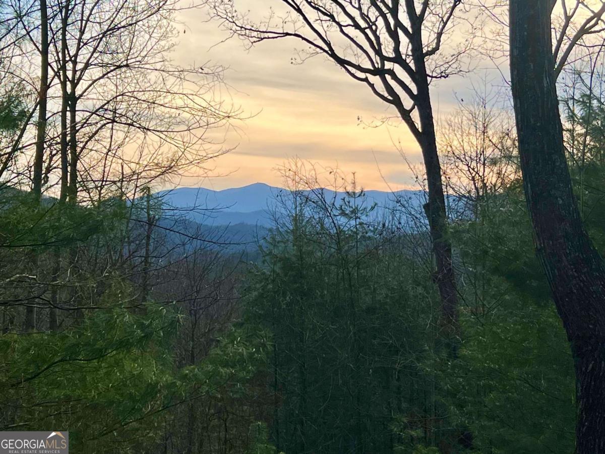 403 Barefoot Rise Hiawassee GA 30546