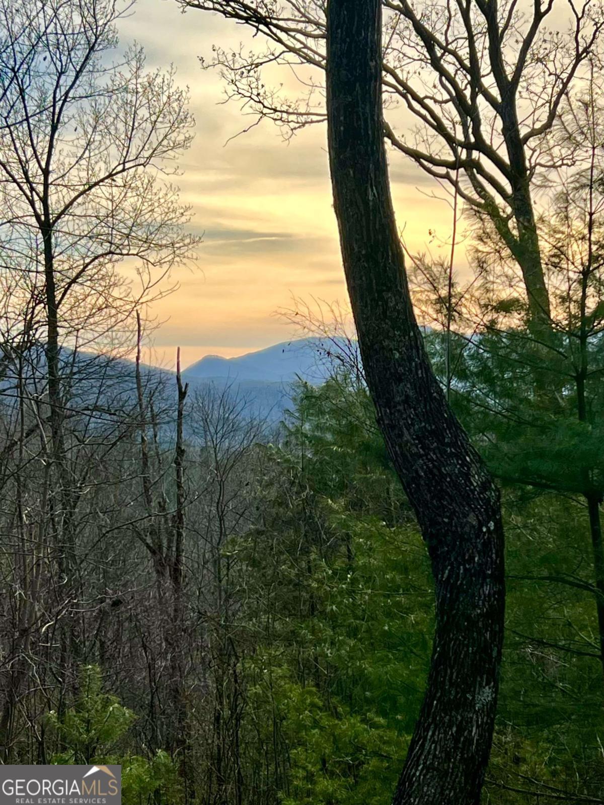 403 Barefoot Rise Hiawassee GA 30546