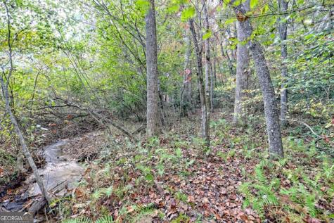 2760 Fodder Creek Road Hiawassee GA 30546