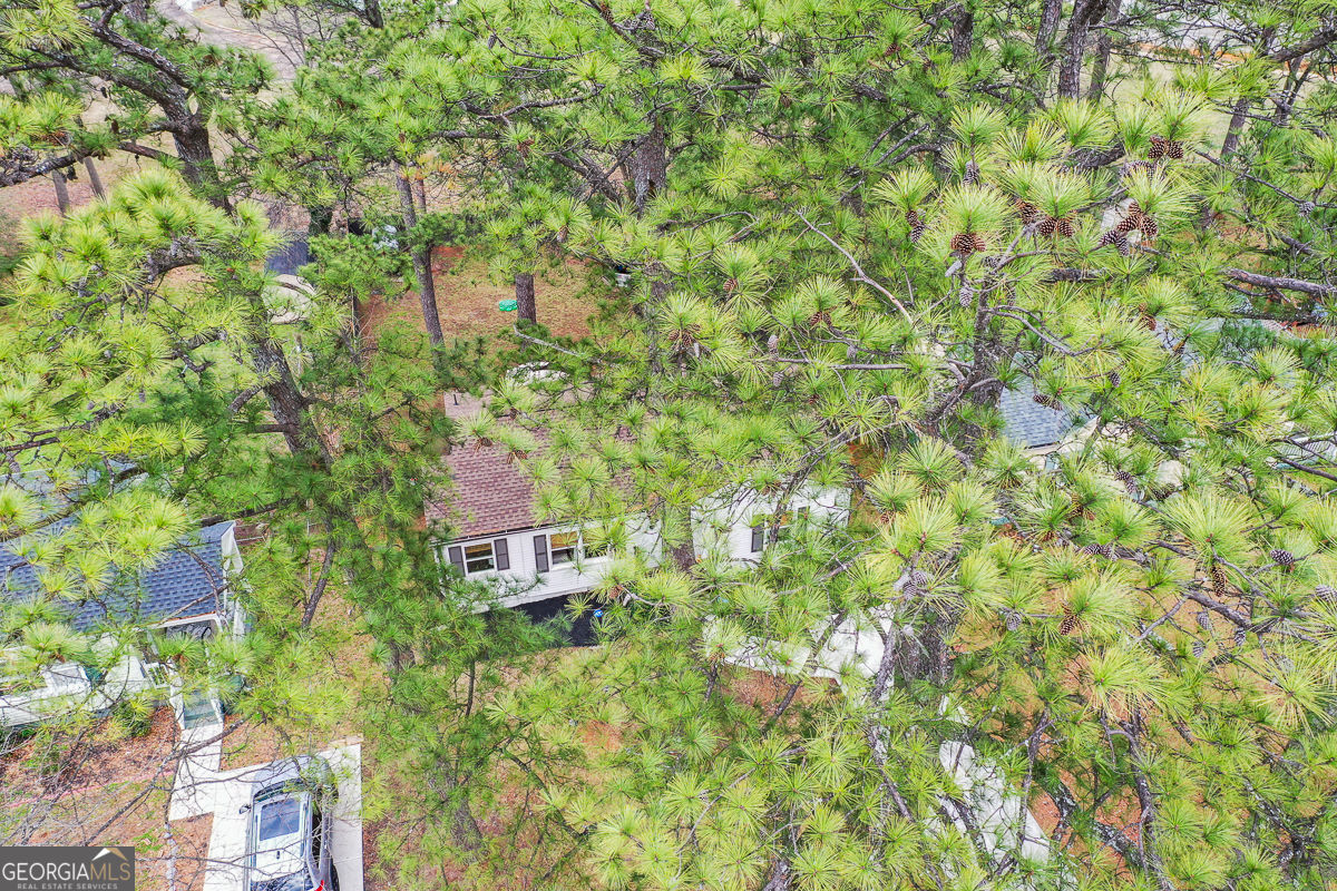 1249 Kasandra Drive Marietta GA 30067