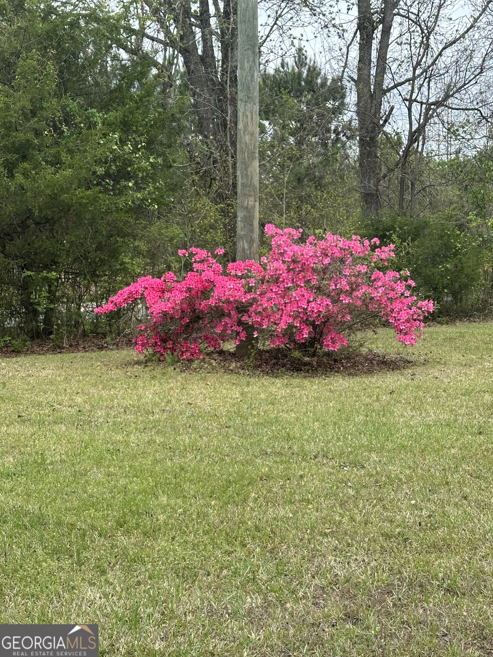 1959 Stroud Road Mcdonough GA 30252
