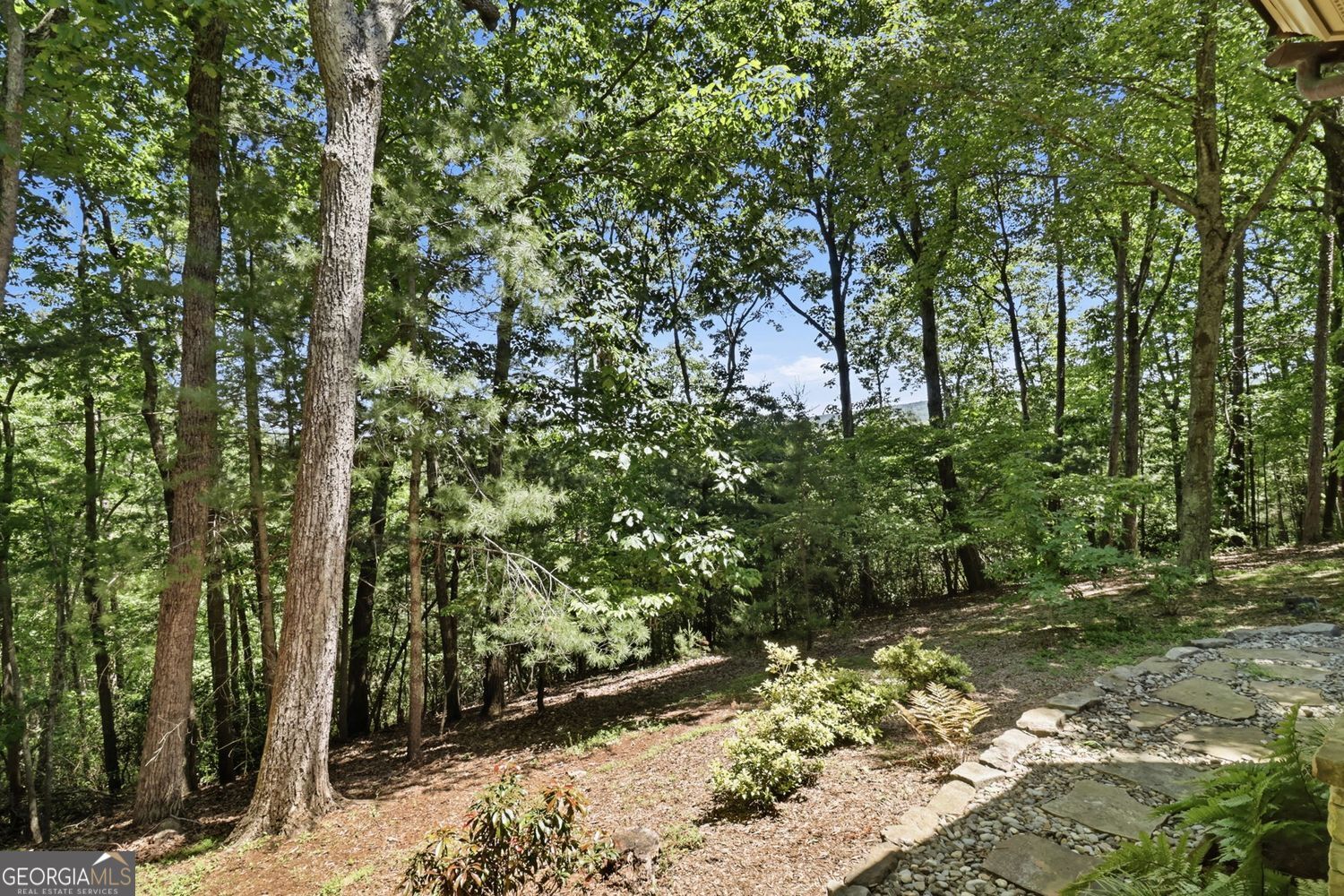 560 Shetland Trace Big Canoe GA 30143