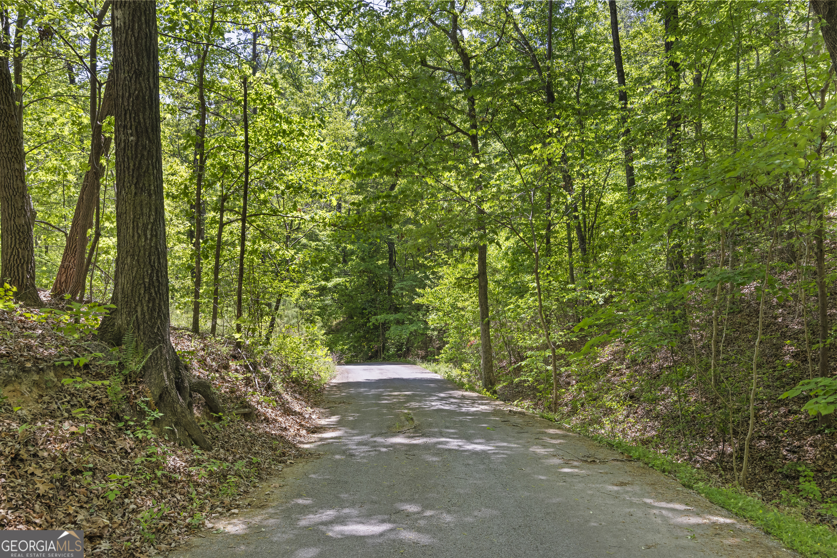 721 Scenic Drive Toccoa GA 30577