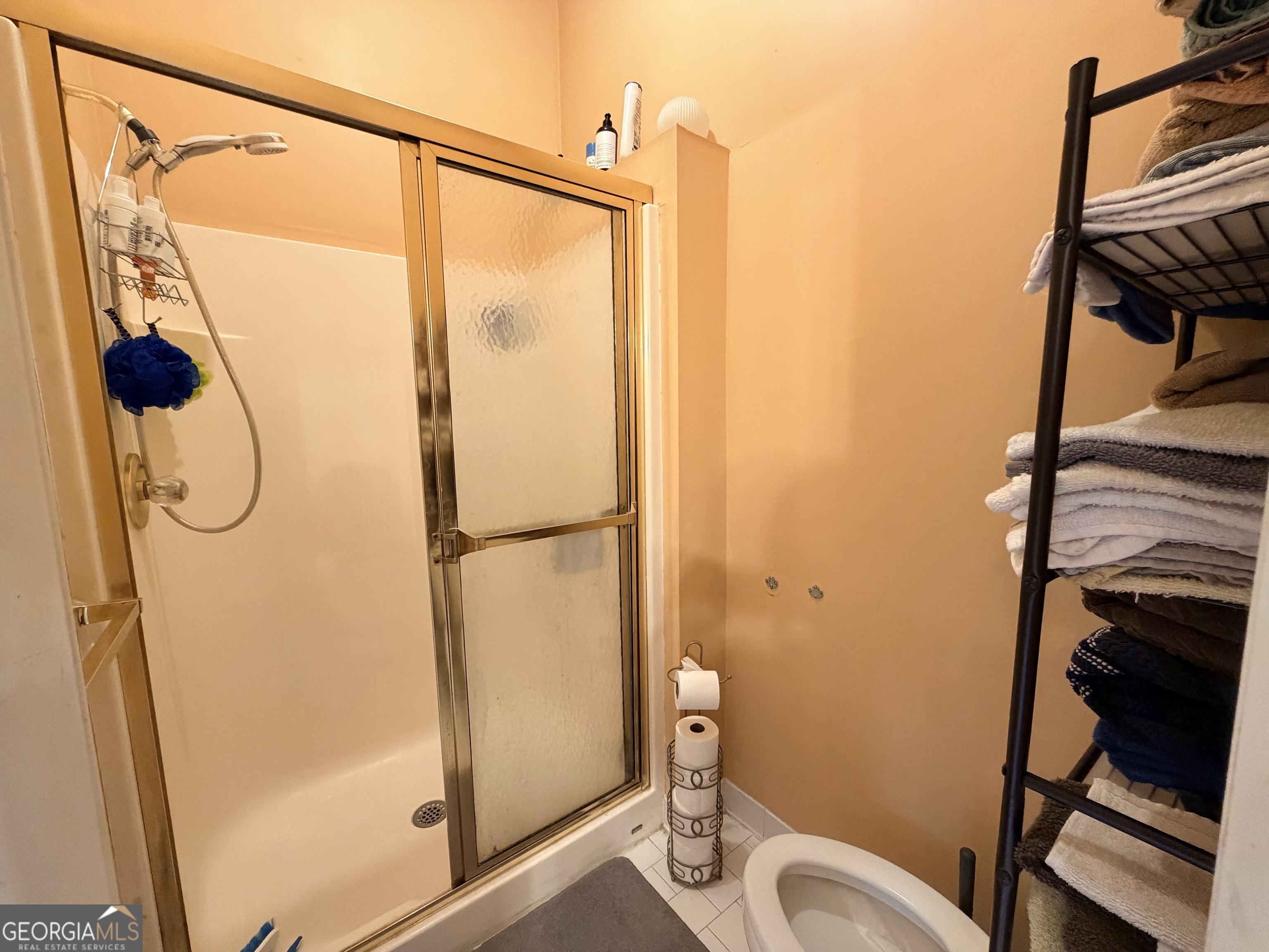 426 Pates Lake Court Hampton GA 30228