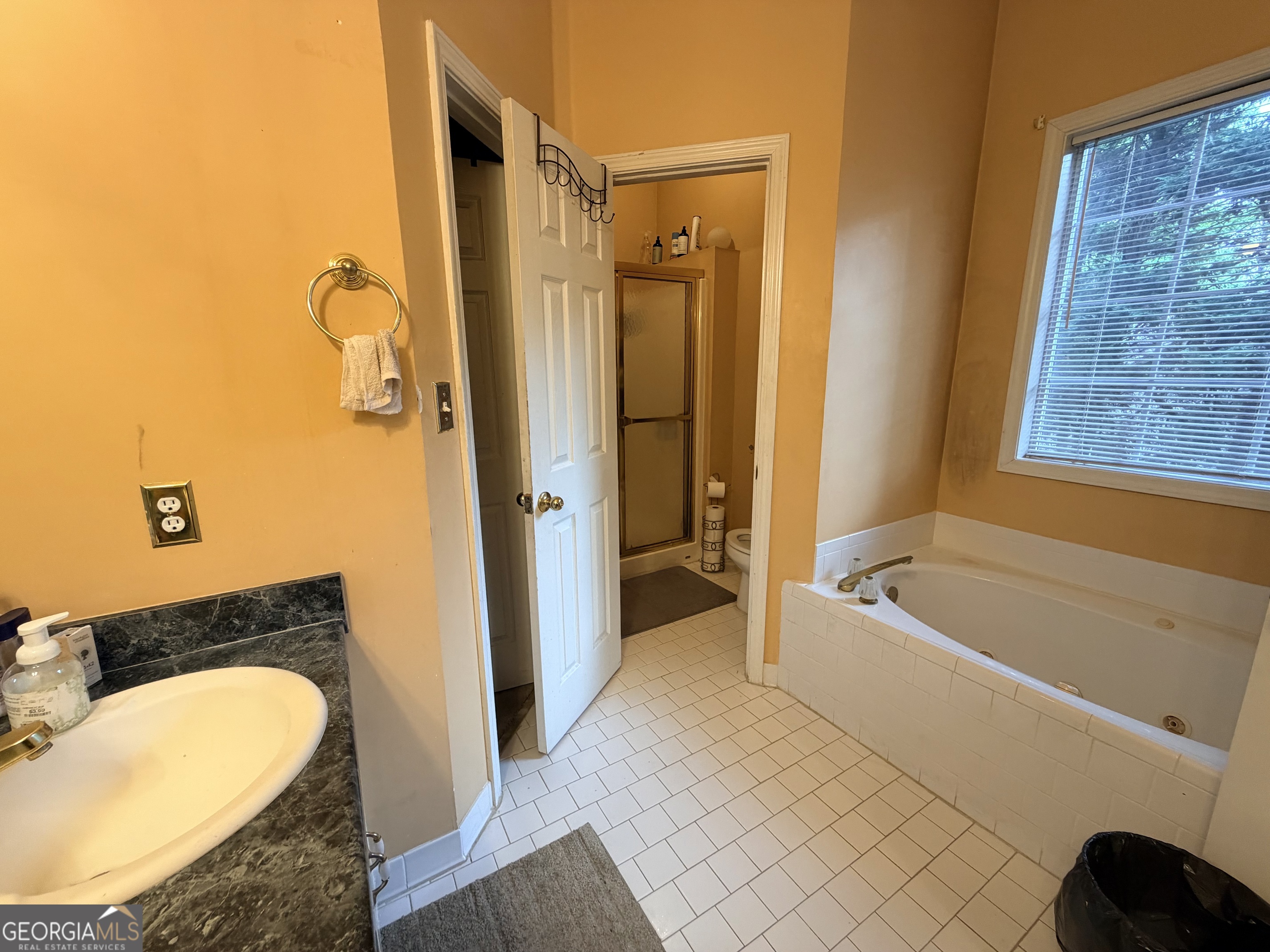 426 Pates Lake Court Hampton GA 30228