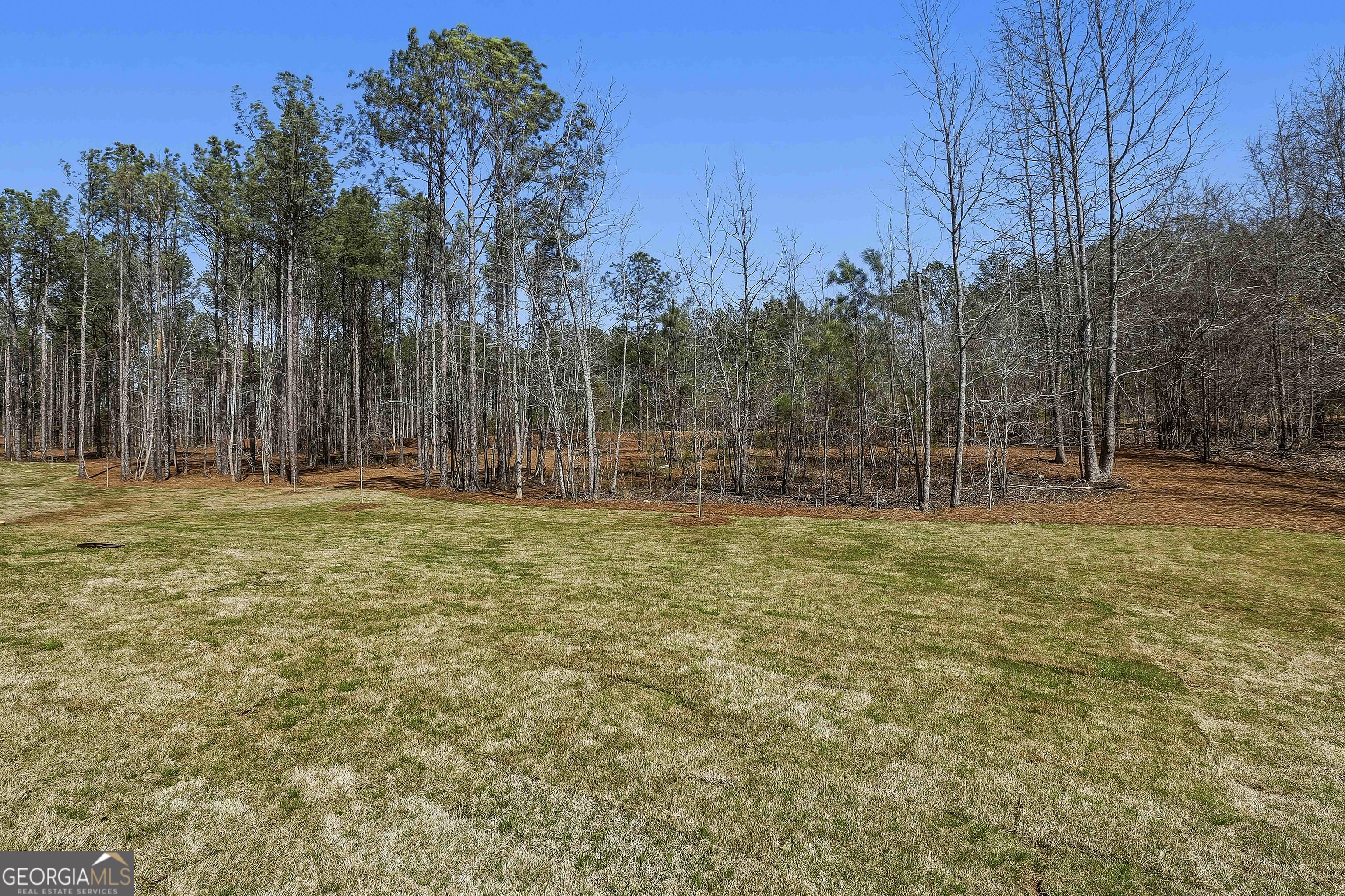 216 Tattersall Way Senoia GA 30276