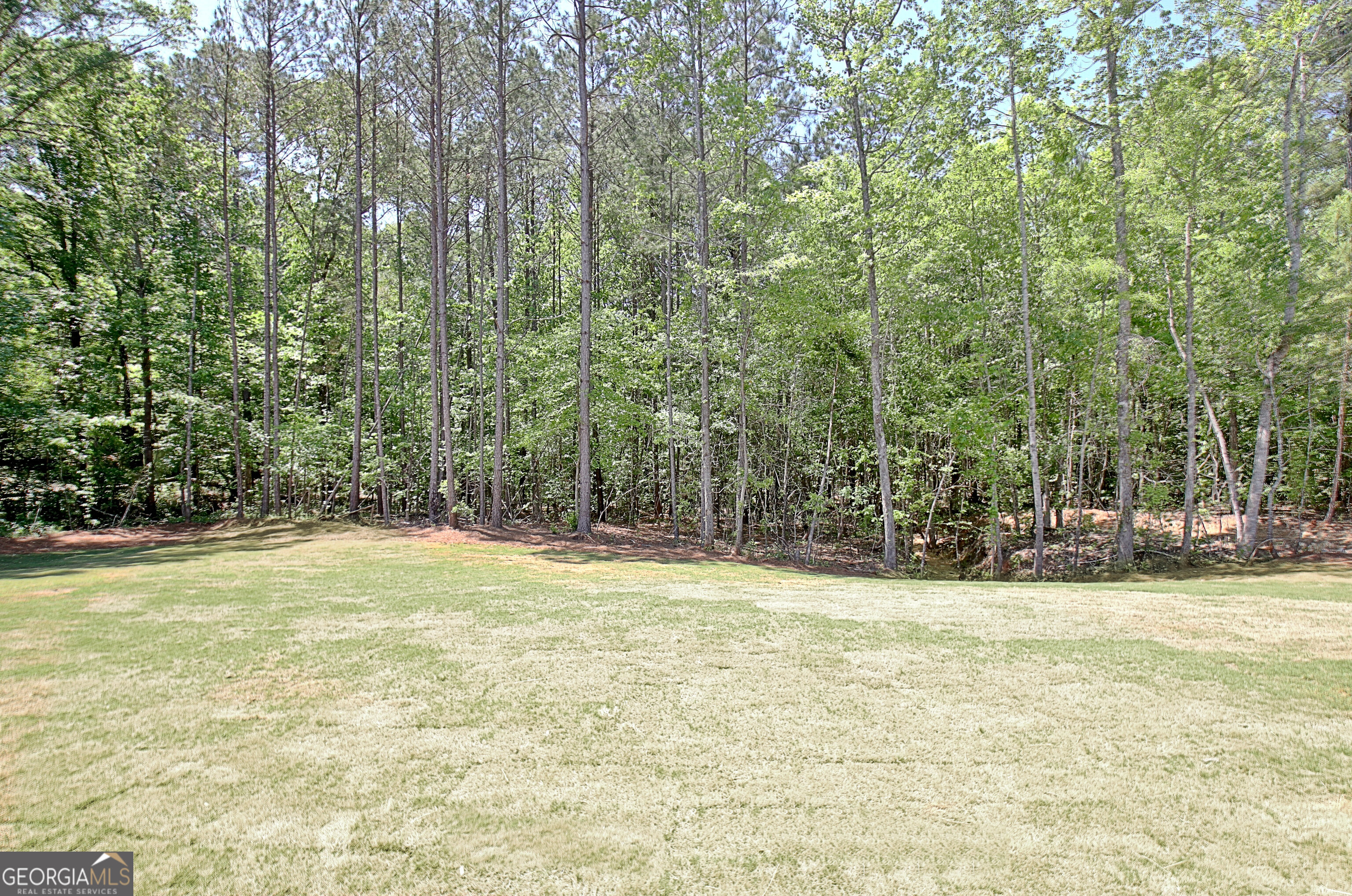 600 Eastside School Road Senoia GA 30276