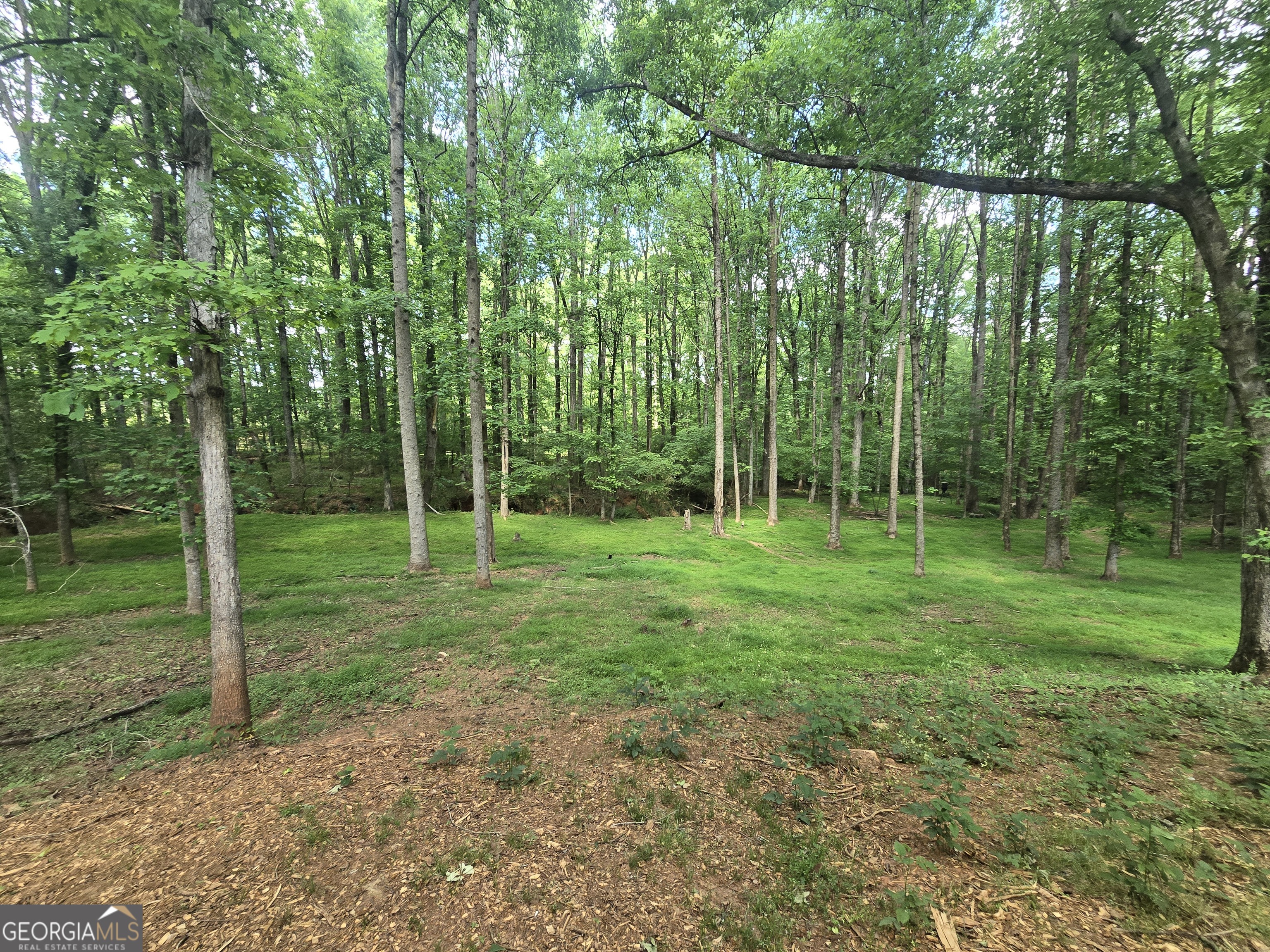 115 Rock Quarry Drive Danielsville GA 30633