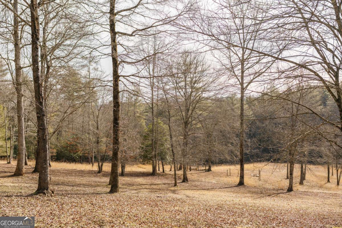 94 Old Place Drive Blue Ridge GA 30513