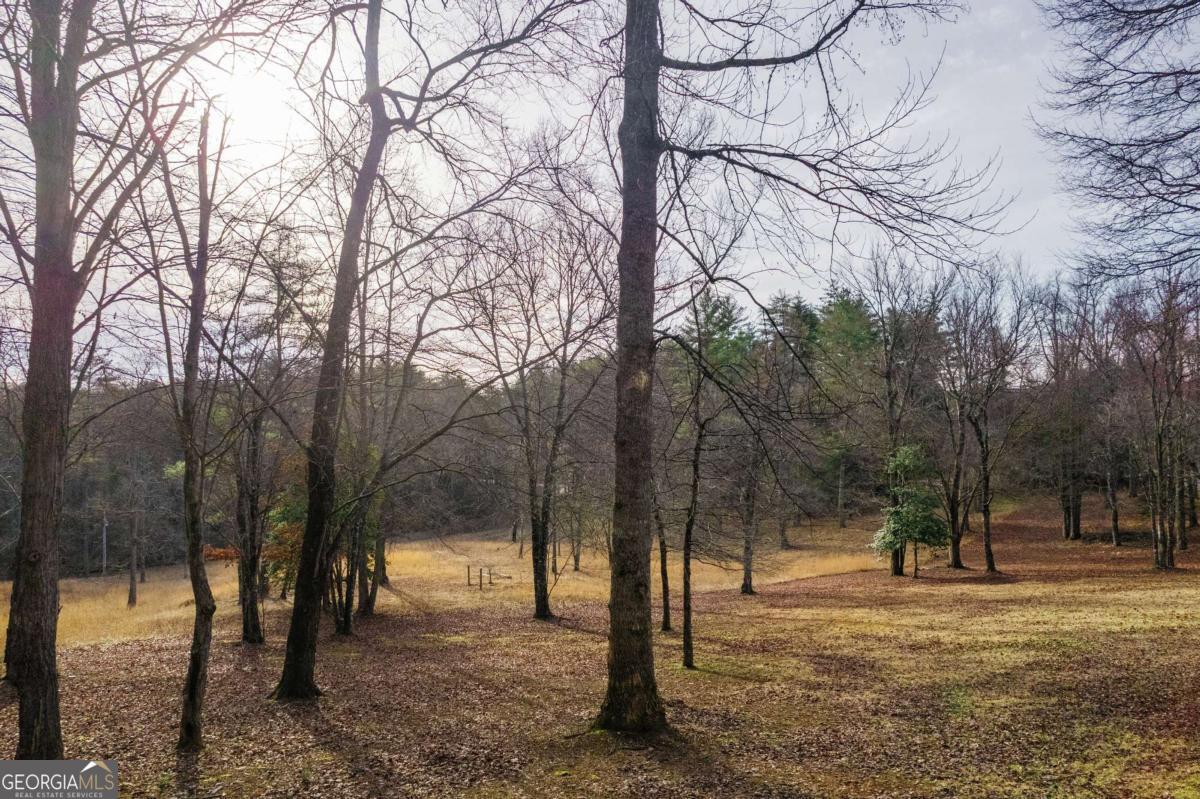 94 Old Place Drive Blue Ridge GA 30513