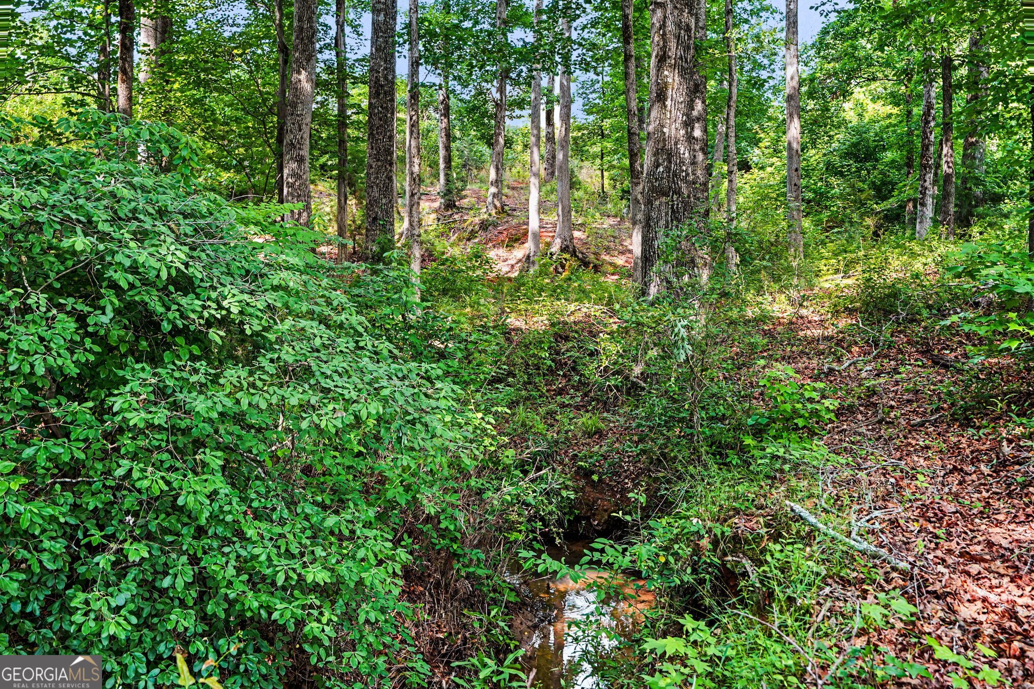 544 Moline Way Locust Grove GA 30248