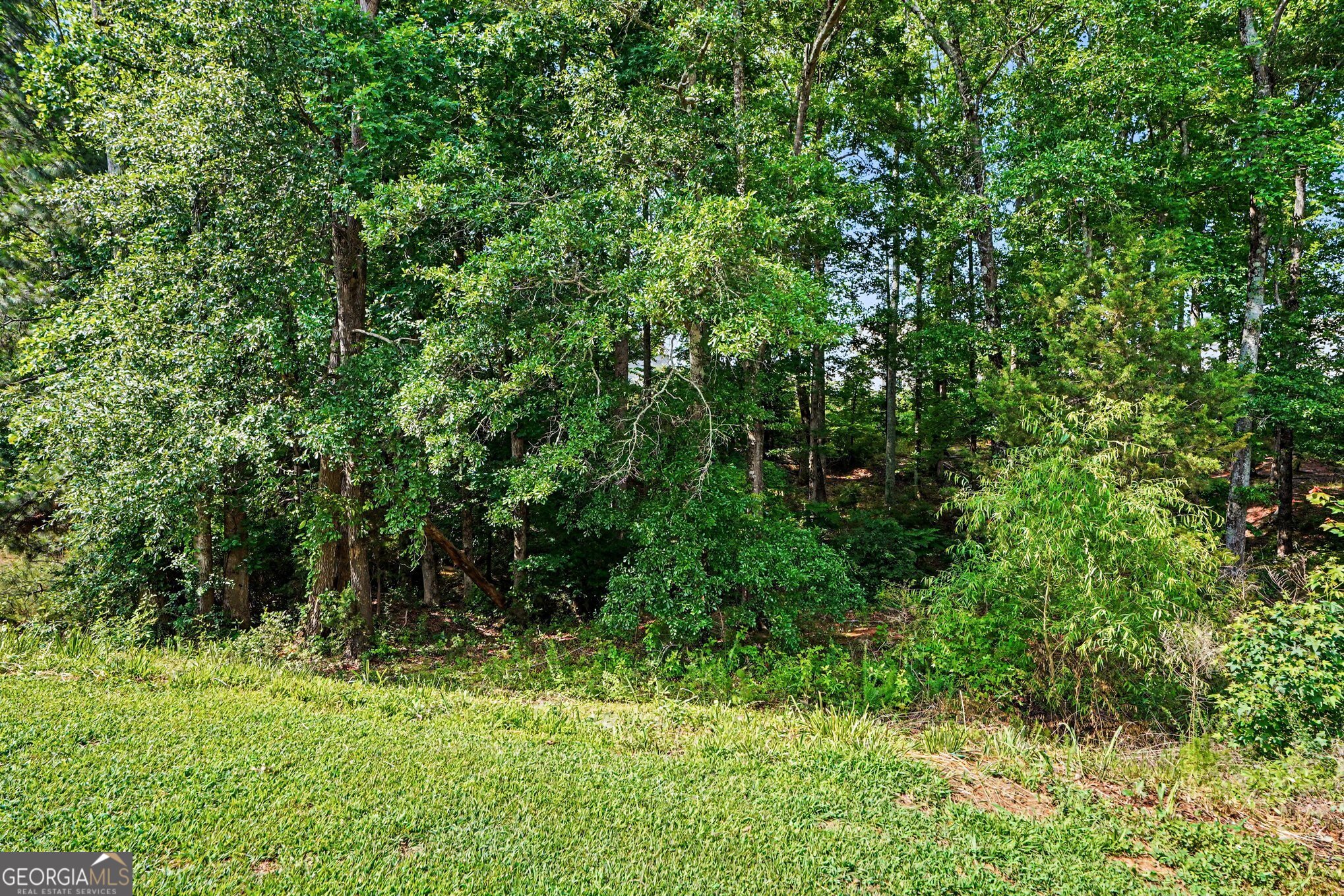 544 Moline Way Locust Grove GA 30248