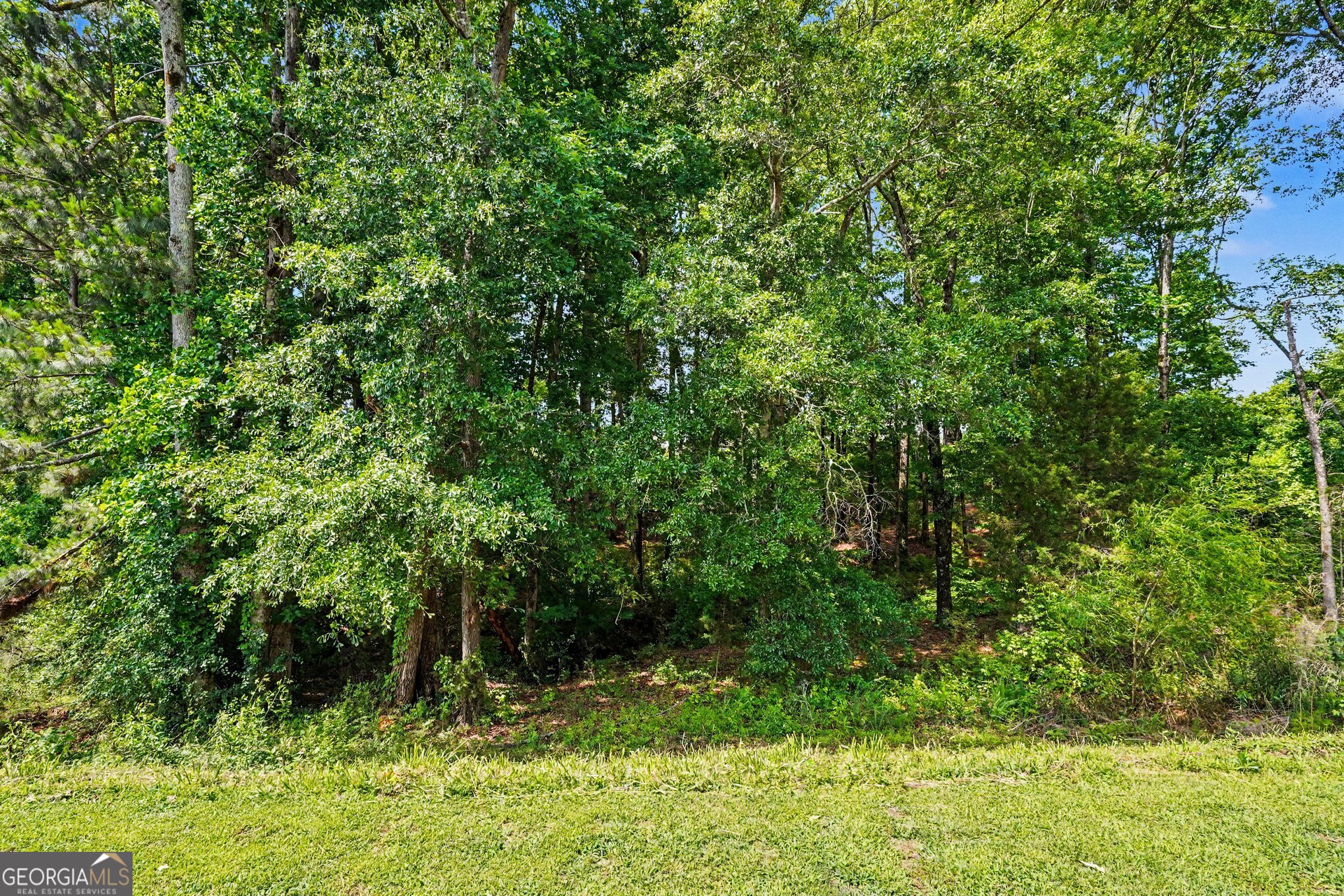 544 Moline Way Locust Grove GA 30248