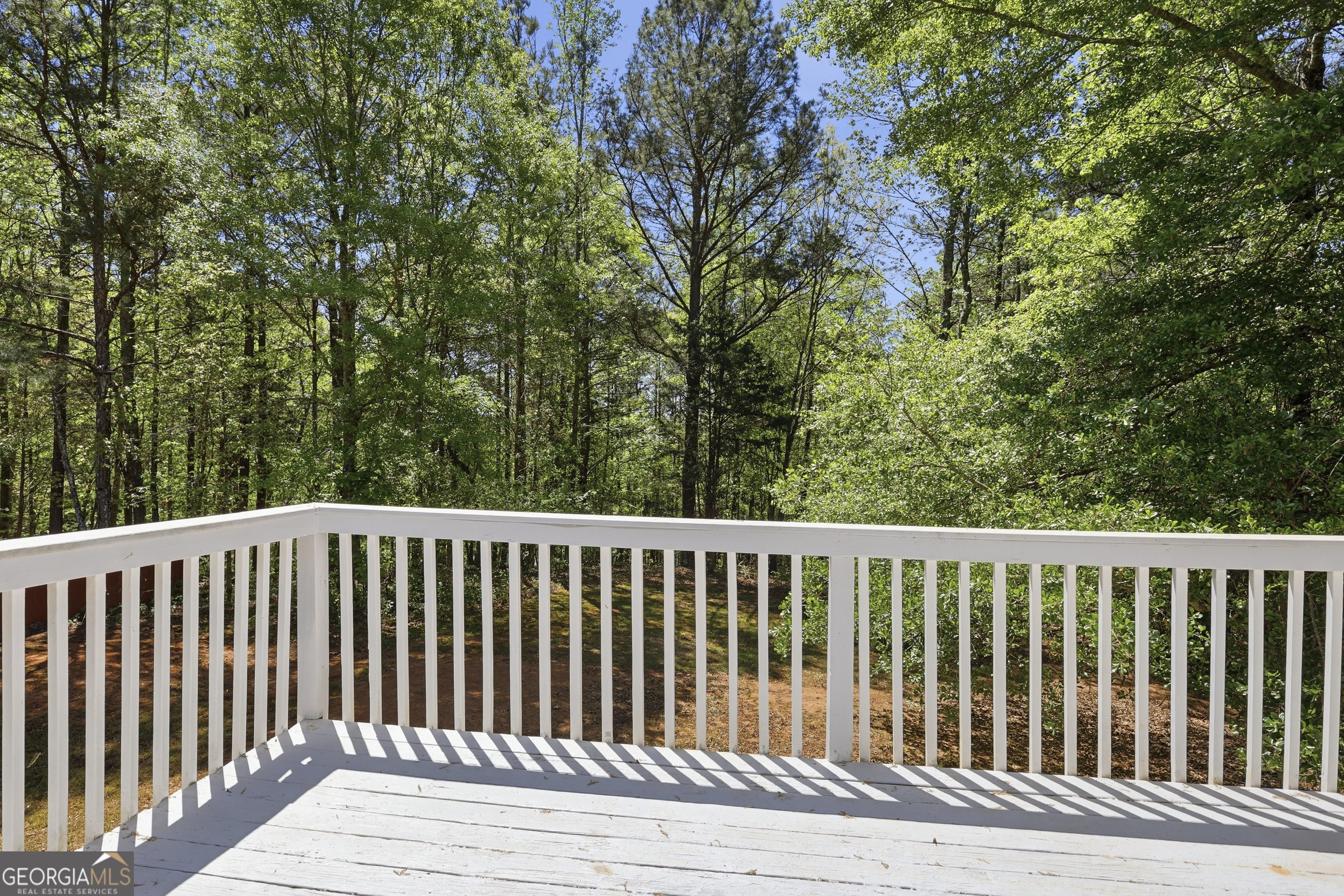 3220 Waterplace Cove Villa Rica GA 30180