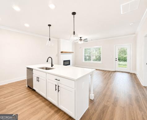74 Village Court Cleveland GA 30528