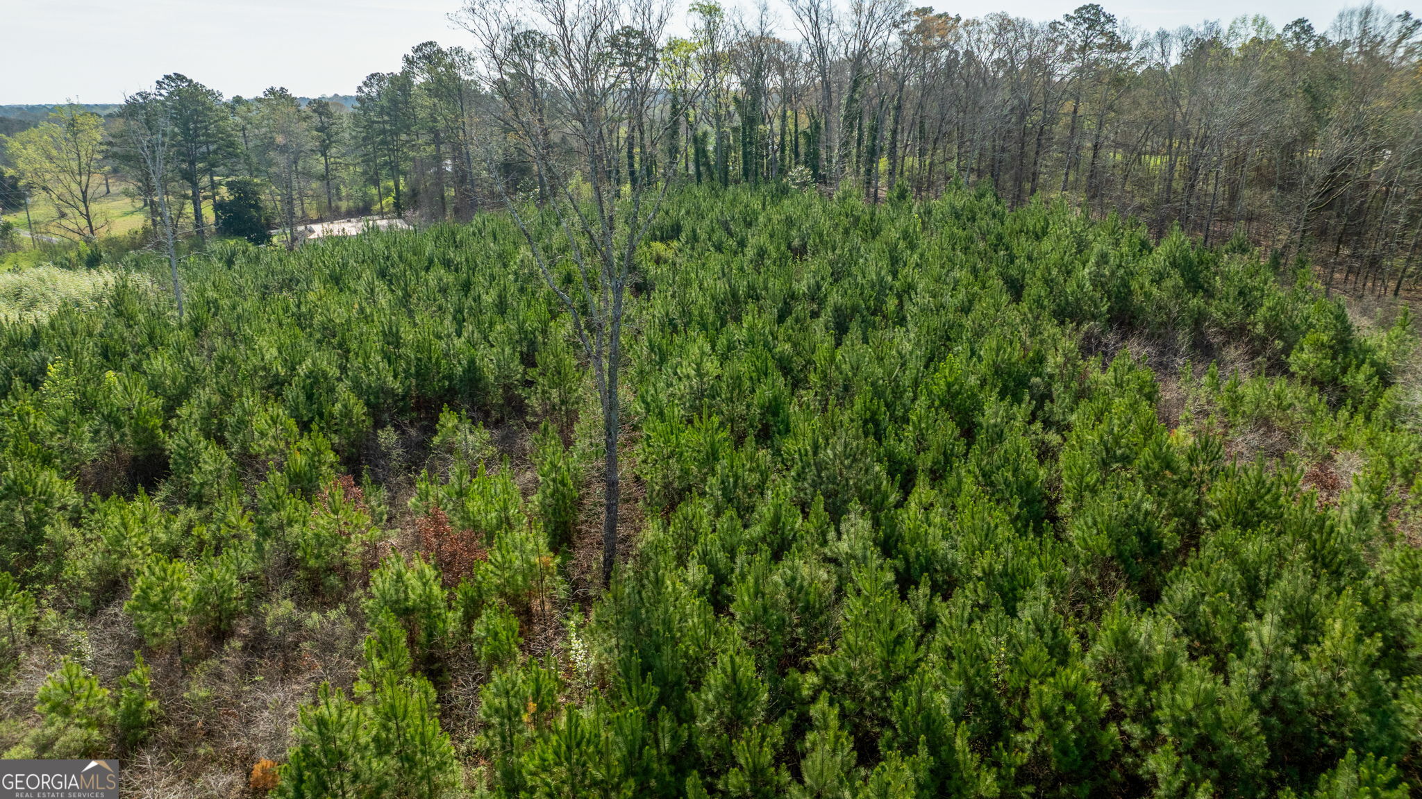 685 North Mcdonough Road Griffin GA 30223