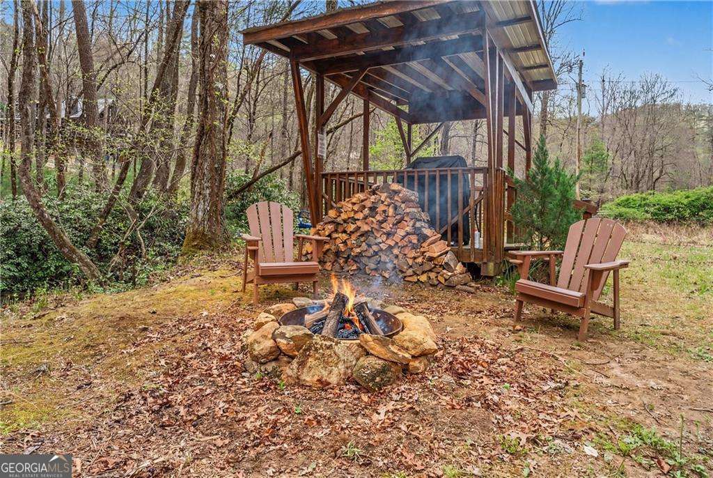 1790 Stanley Creek Road Cherry Log GA 30522