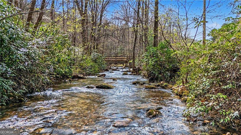 1790 Stanley Creek Road Cherry Log GA 30522