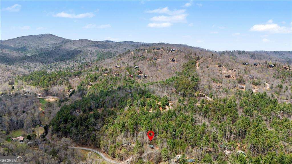 1790 Stanley Creek Road Cherry Log GA 30522
