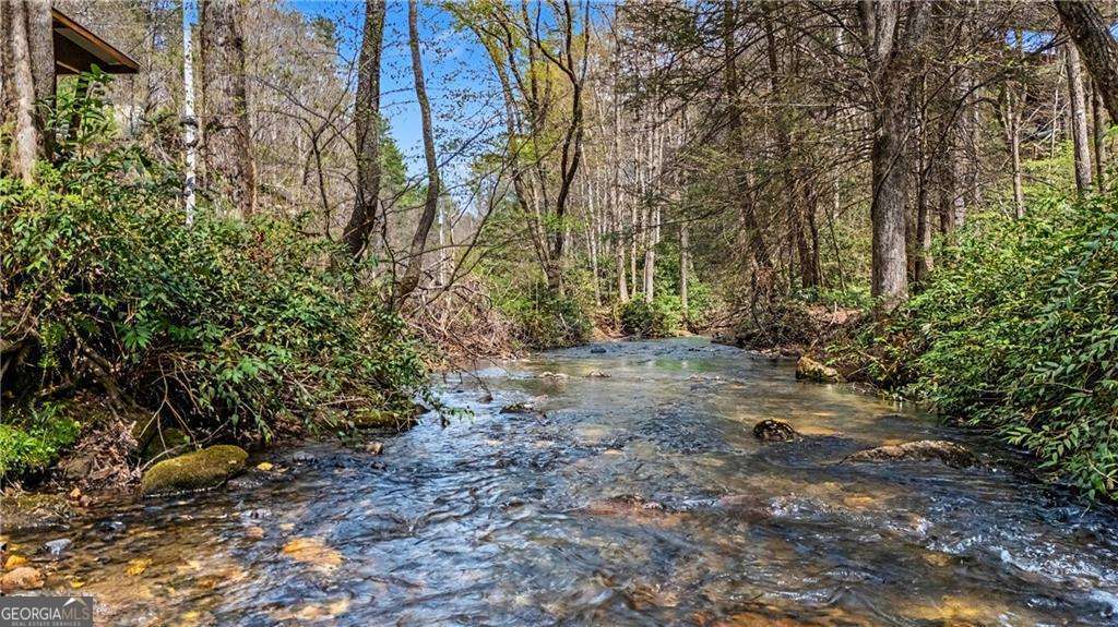1790 Stanley Creek Road Cherry Log GA 30522