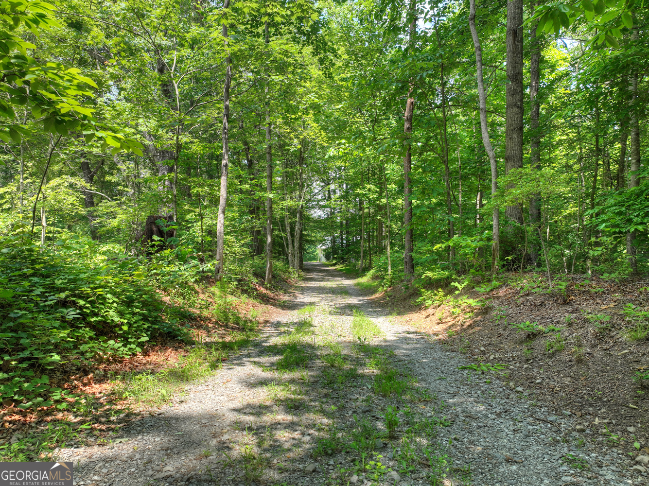 1398 Antioch Church Road Talking Rock GA 30175