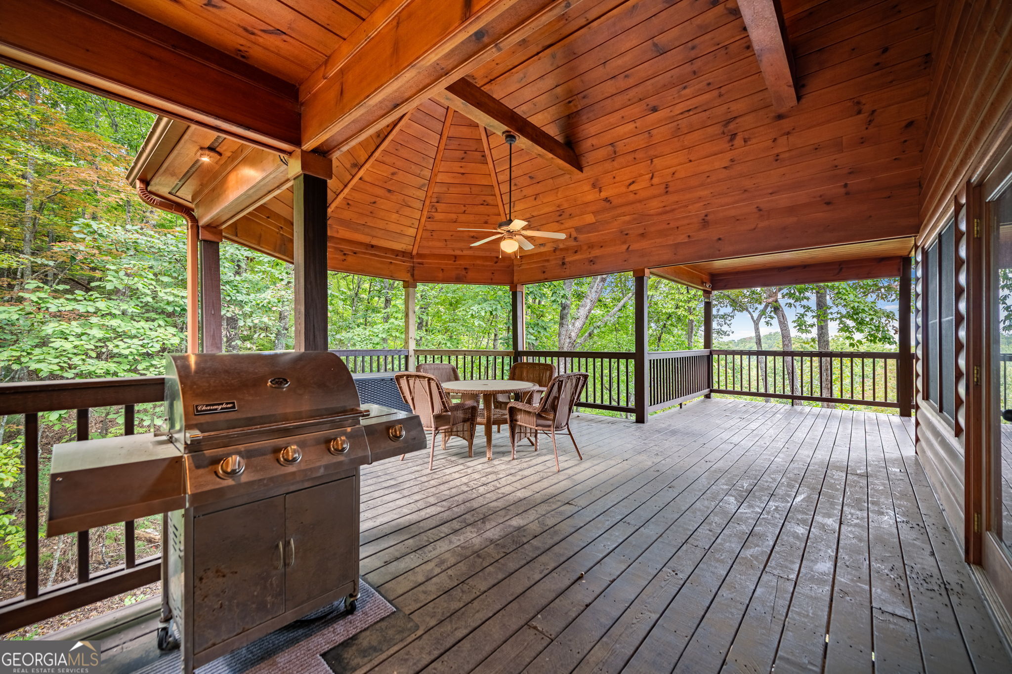 1150 Mountain High Drive Mineral Bluff GA 30559