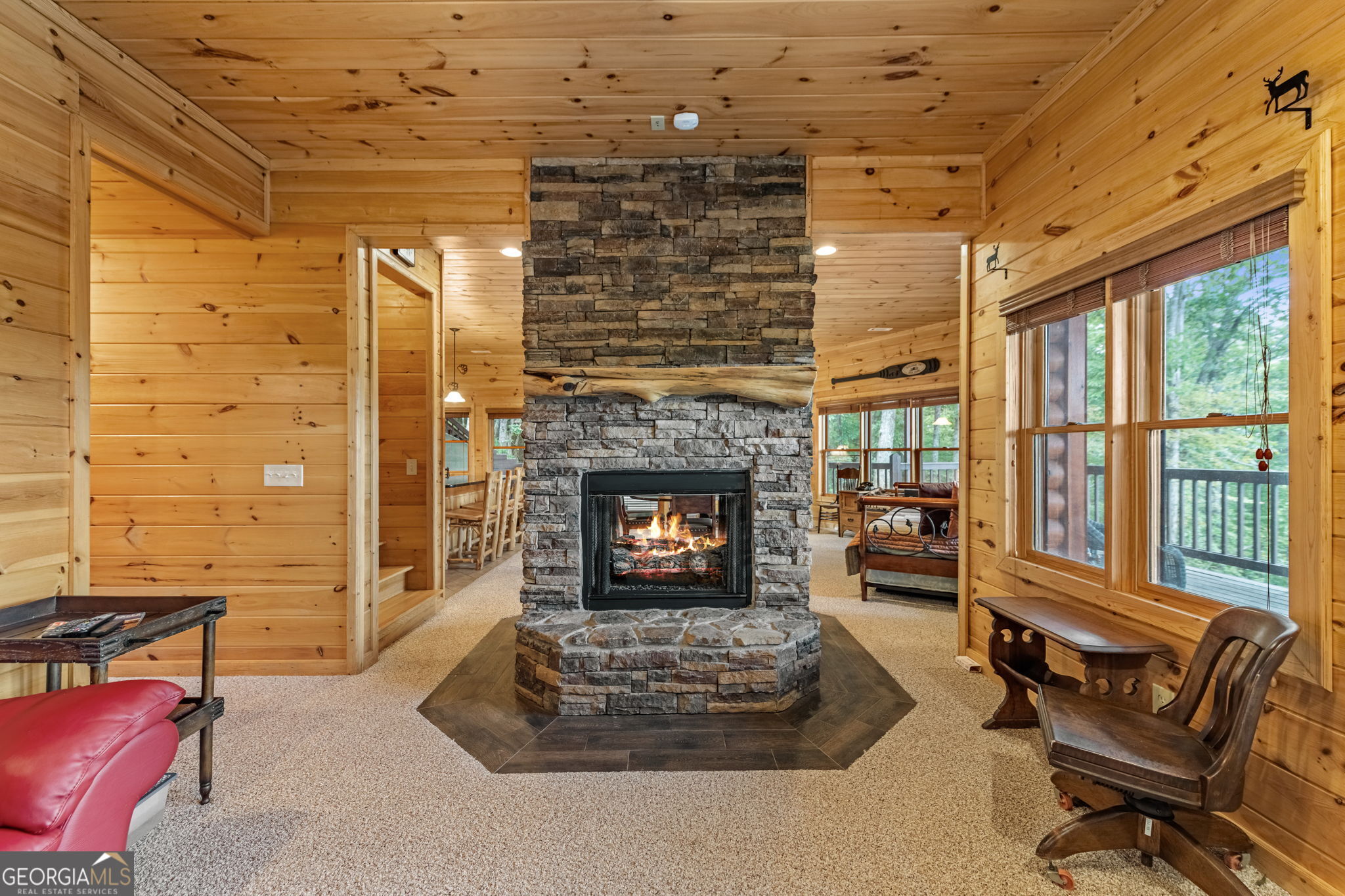 1150 Mountain High Drive Mineral Bluff GA 30559