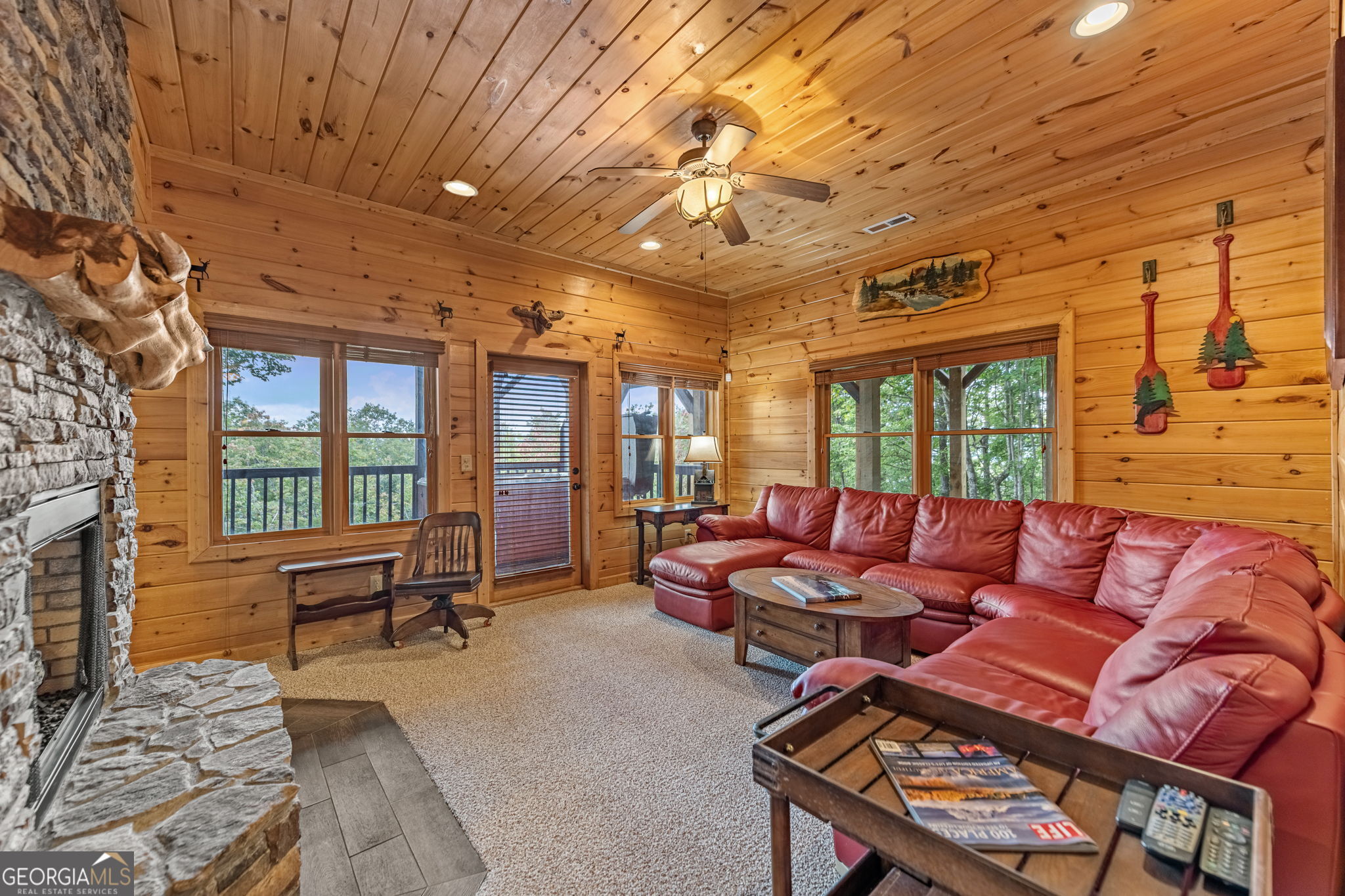 1150 Mountain High Drive Mineral Bluff GA 30559