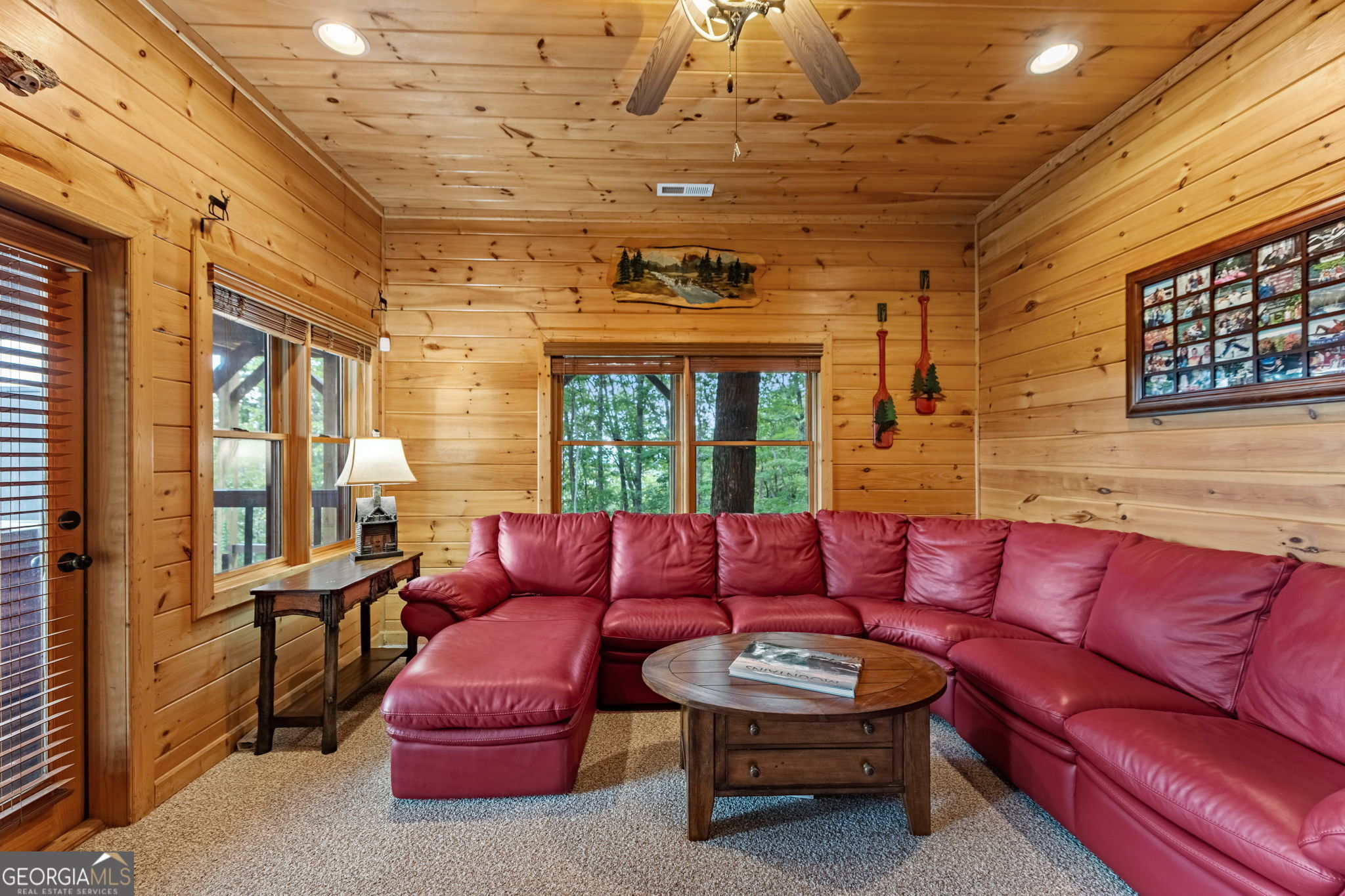 1150 Mountain High Drive Mineral Bluff GA 30559