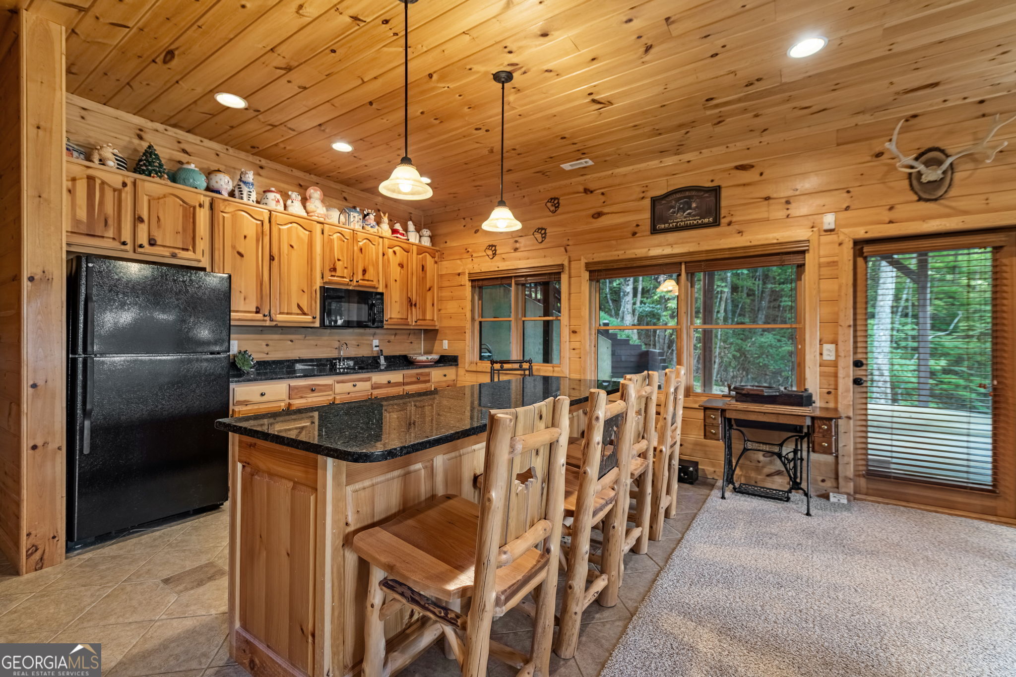 1150 Mountain High Drive Mineral Bluff GA 30559