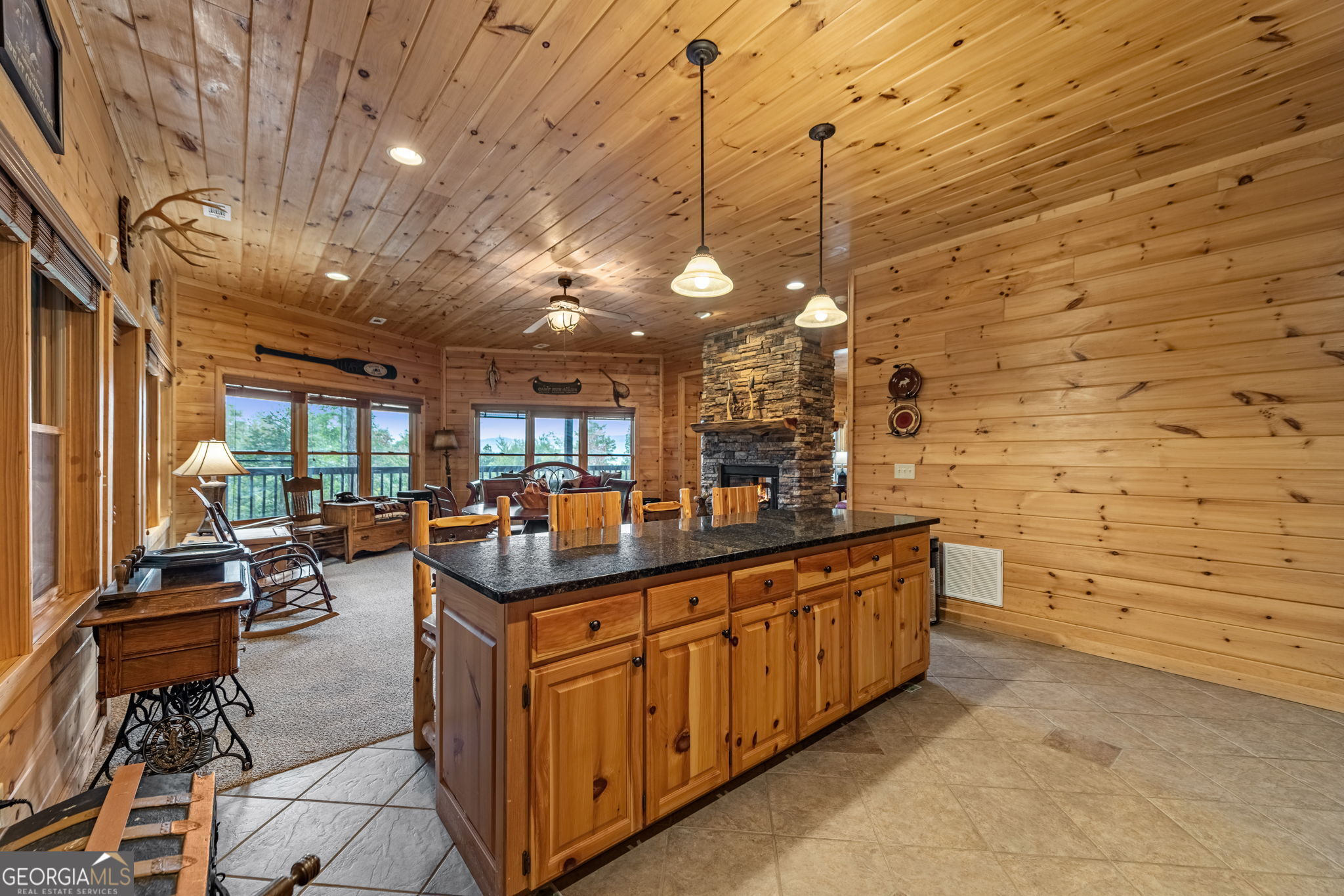 1150 Mountain High Drive Mineral Bluff GA 30559