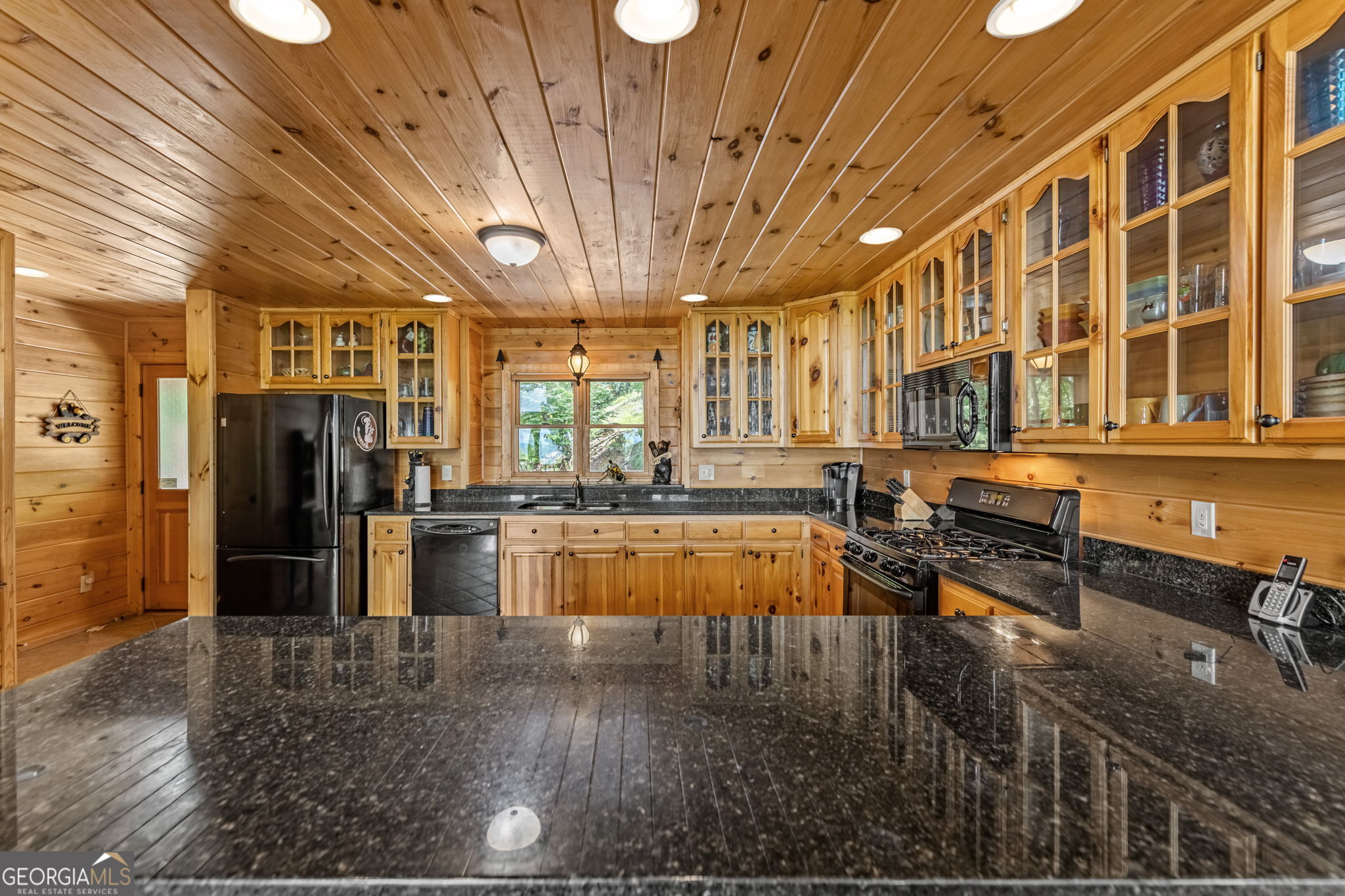 1150 Mountain High Drive Mineral Bluff GA 30559