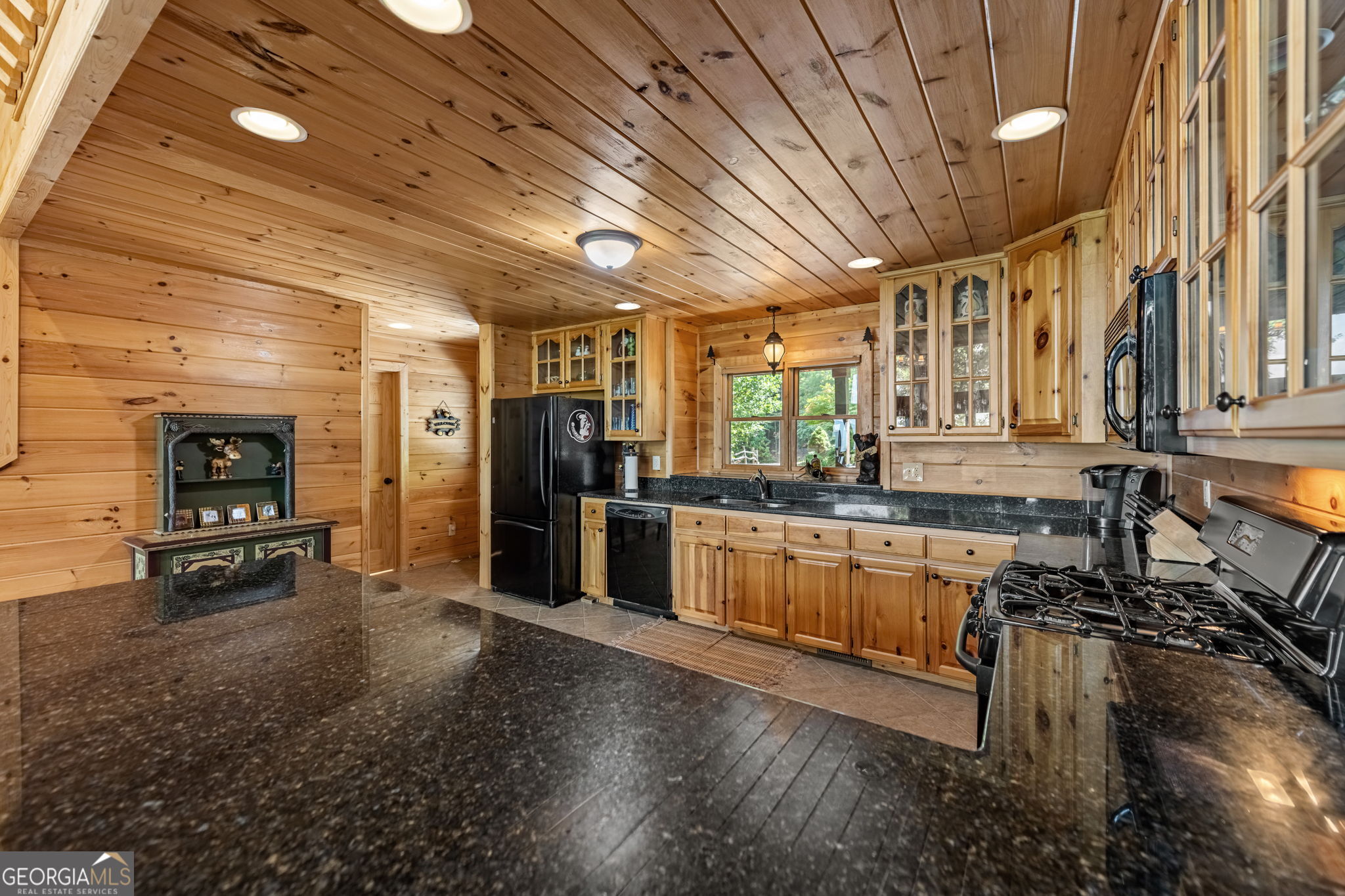 1150 Mountain High Drive Mineral Bluff GA 30559