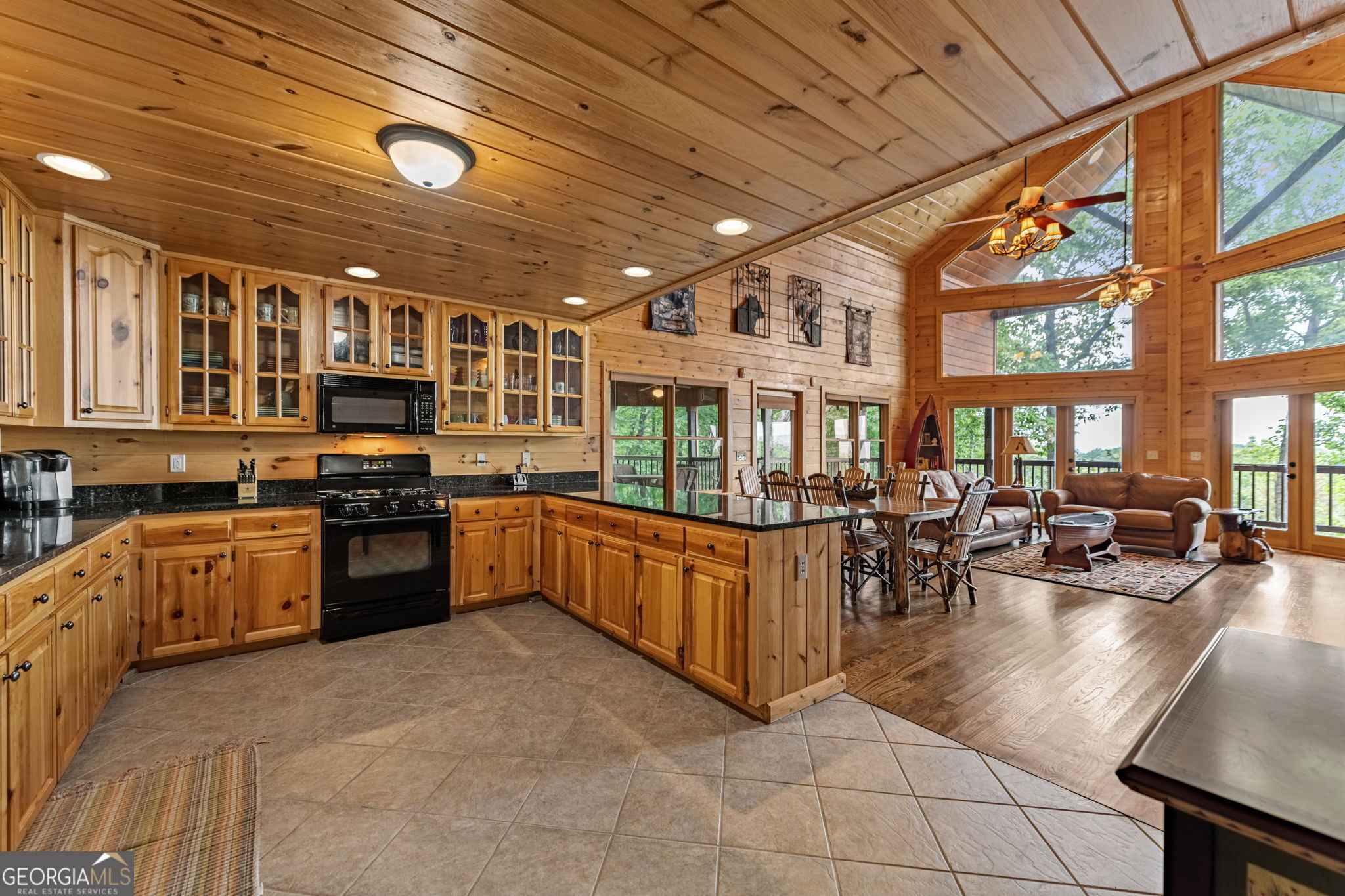 1150 Mountain High Drive Mineral Bluff GA 30559