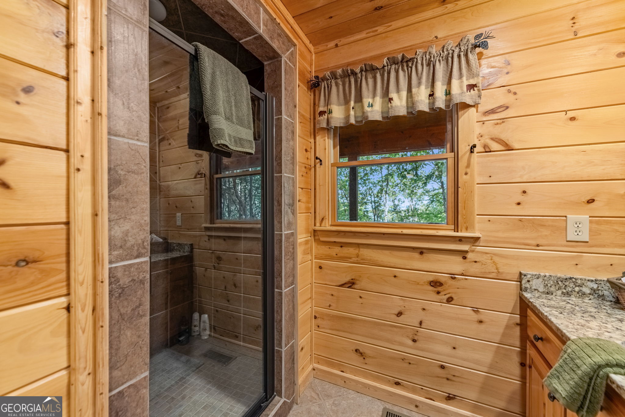 1150 Mountain High Drive Mineral Bluff GA 30559