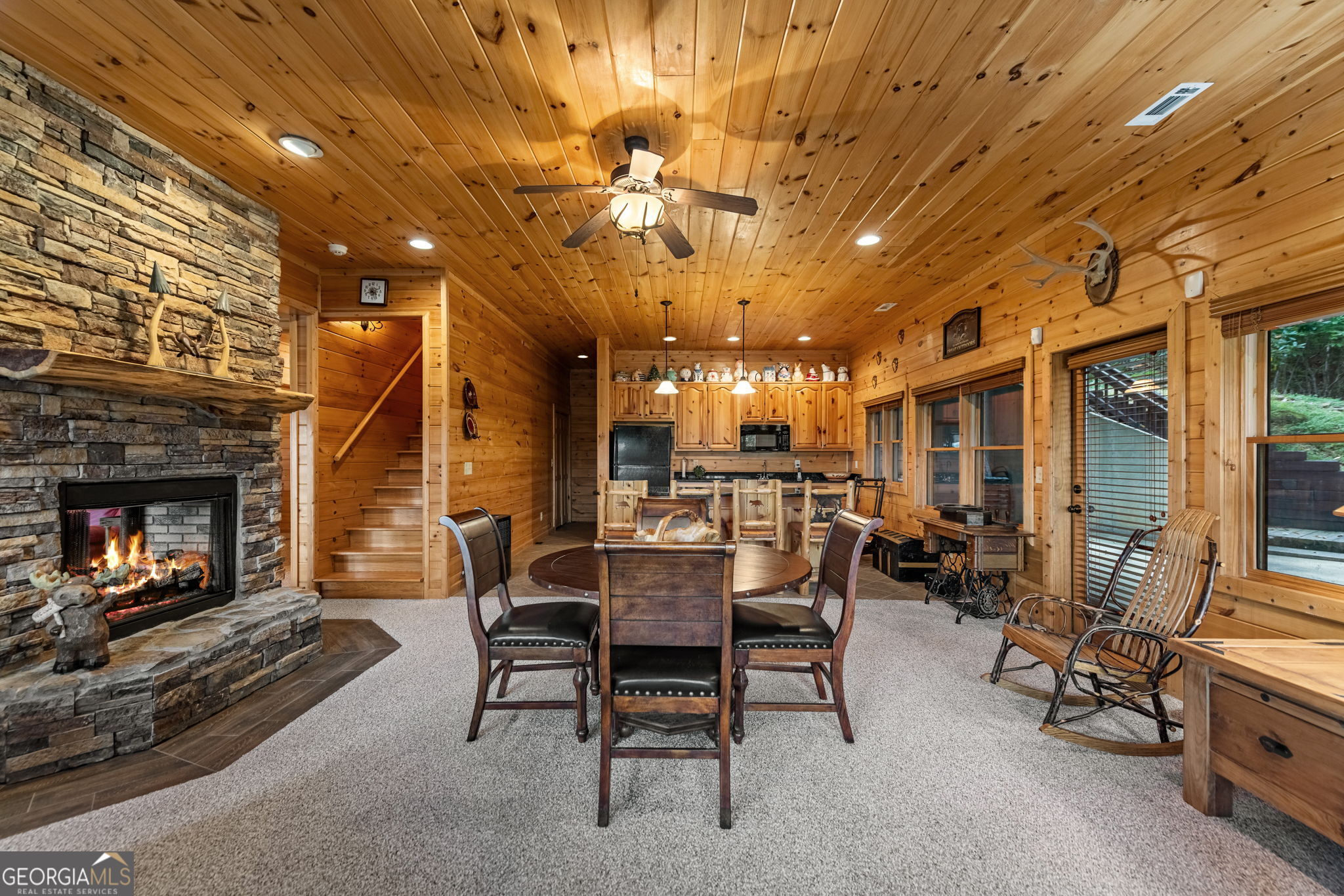 1150 Mountain High Drive Mineral Bluff GA 30559