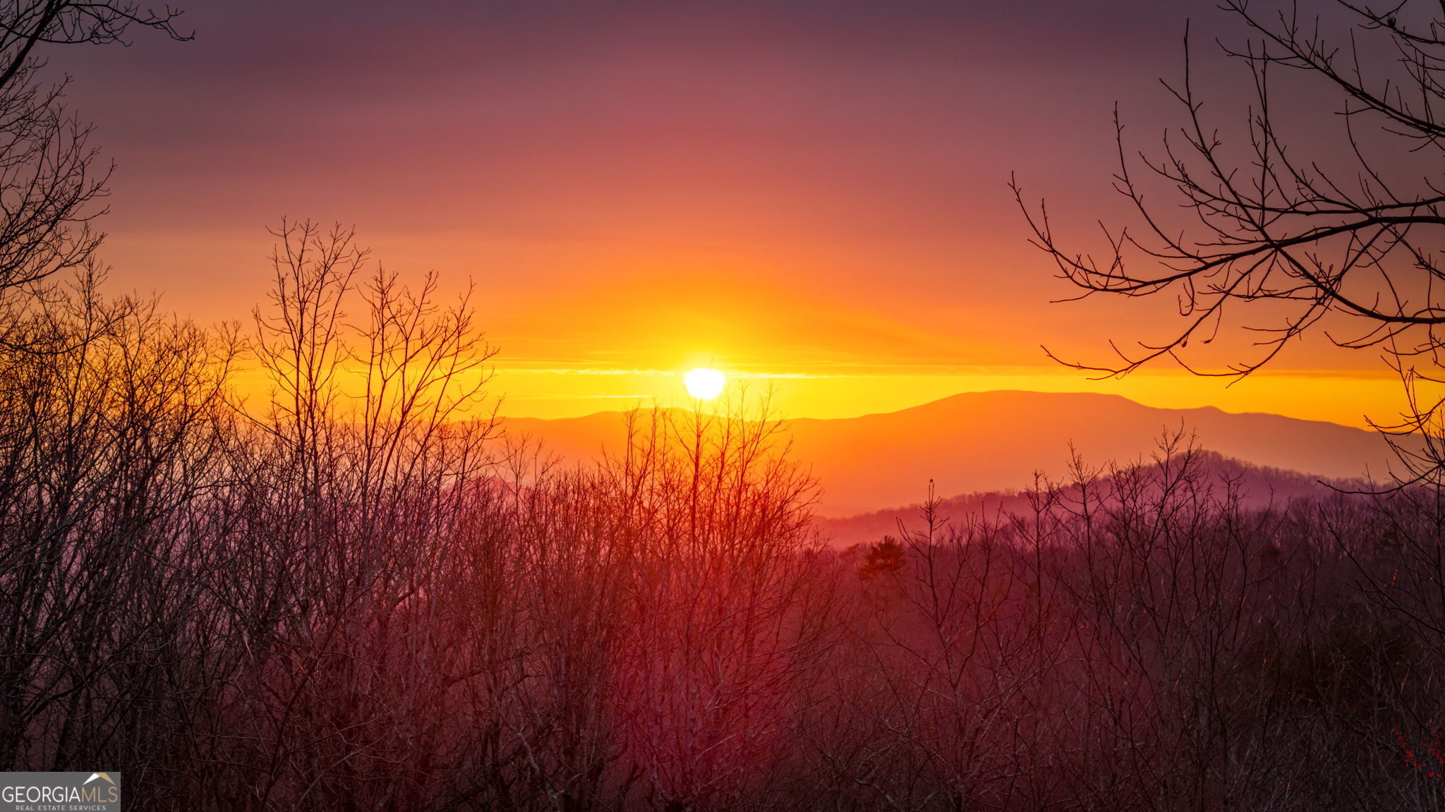 1150 Mountain High Drive Mineral Bluff GA 30559
