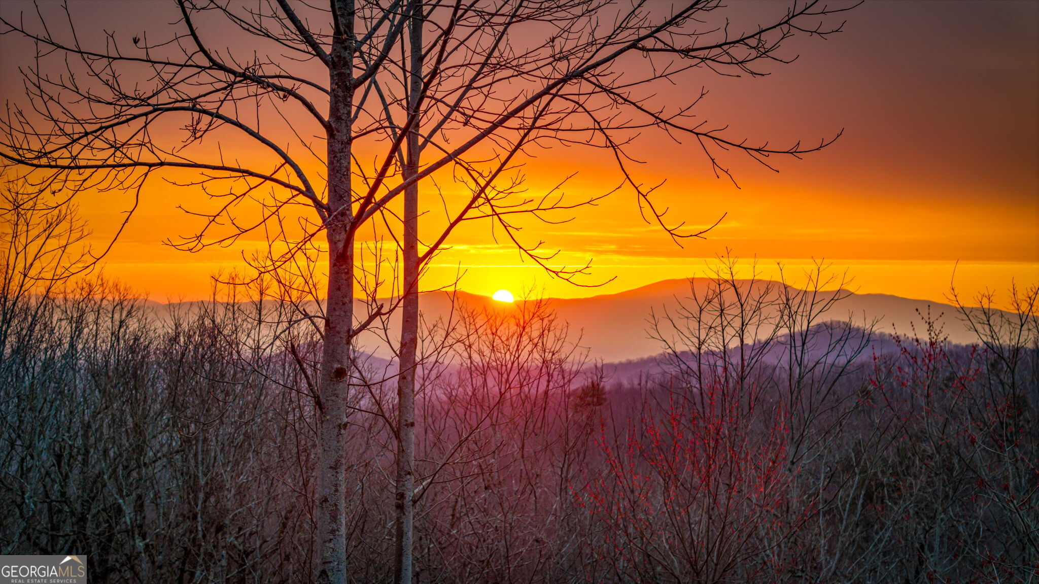 1150 Mountain High Drive Mineral Bluff GA 30559