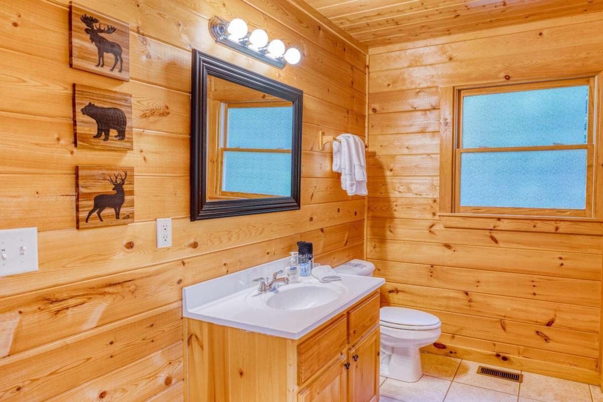 307 Bent Wood Lane Blue Ridge GA 30513