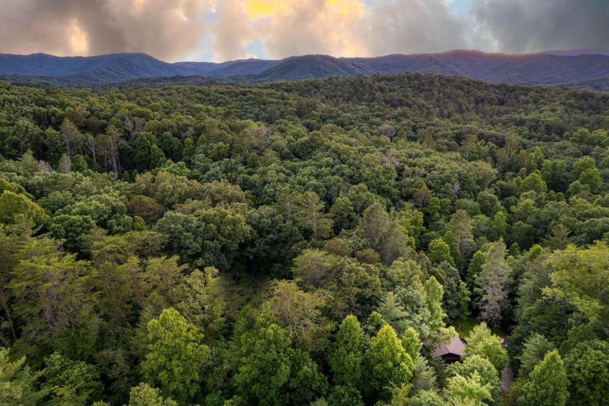 307 Bent Wood Lane Blue Ridge GA 30513