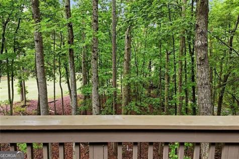 236 Chestnut Rise Trail Big Canoe GA 30143