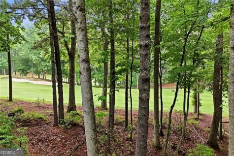 236 Chestnut Rise Trail Big Canoe GA 30143