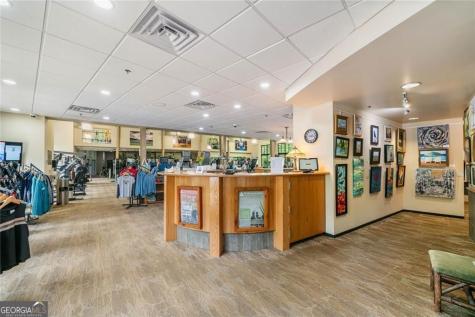236 Chestnut Rise Trail Big Canoe GA 30143