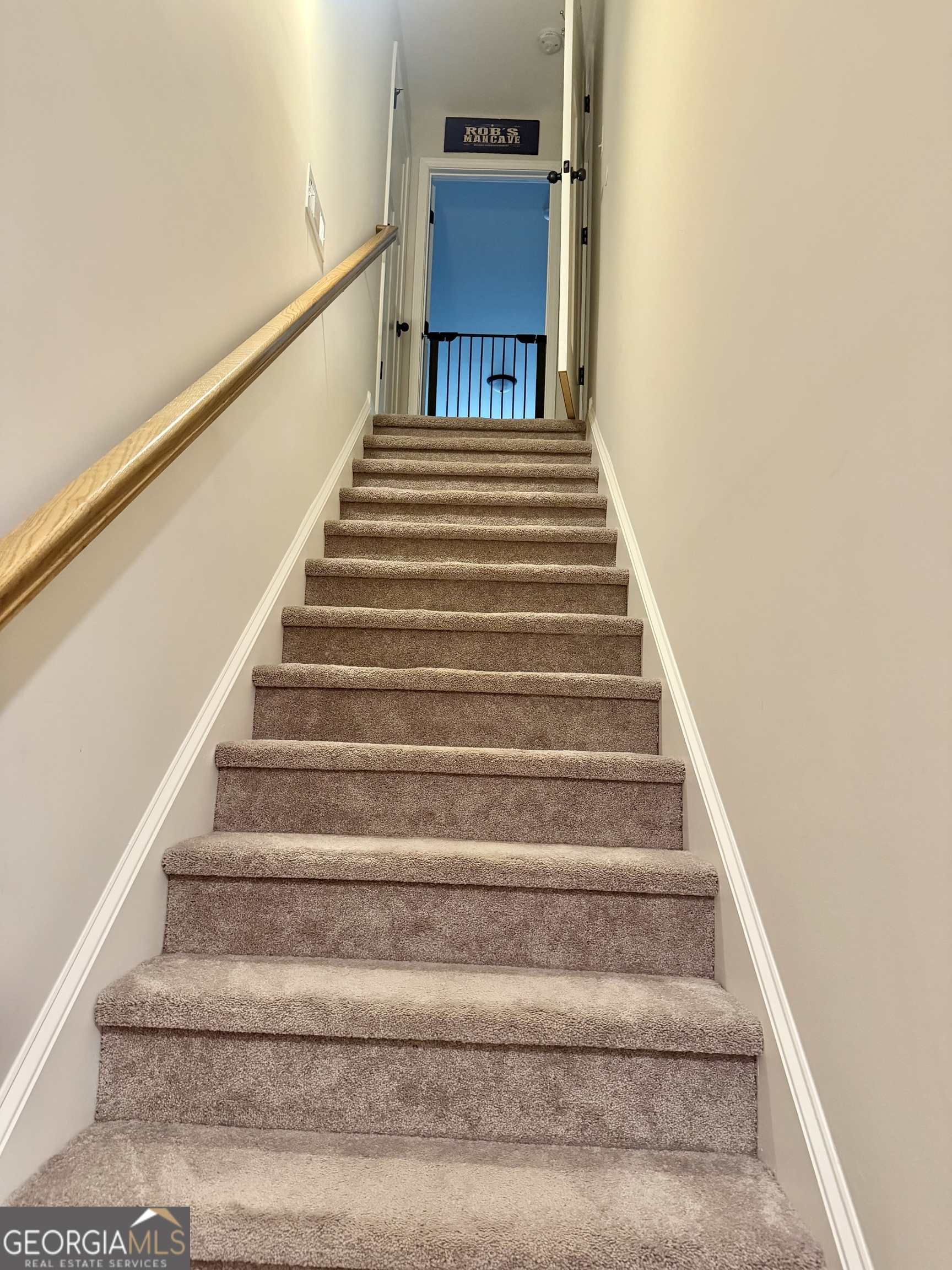 233 Springdale Estates Drive Senoia GA 30276